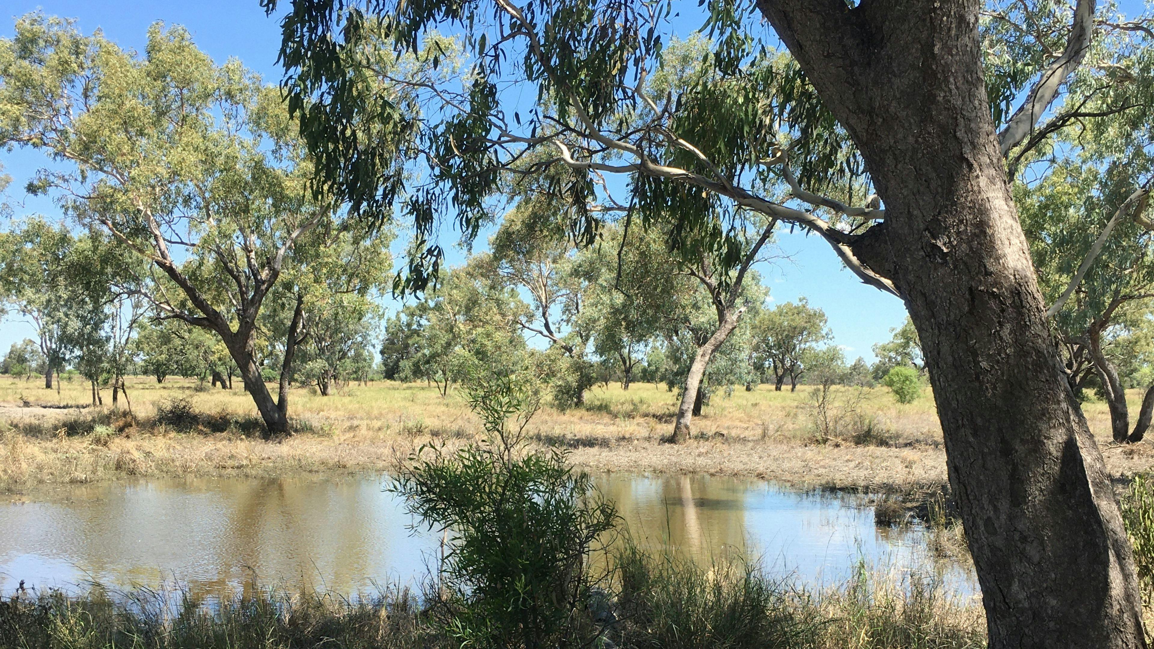Mungindi Bush Retreat