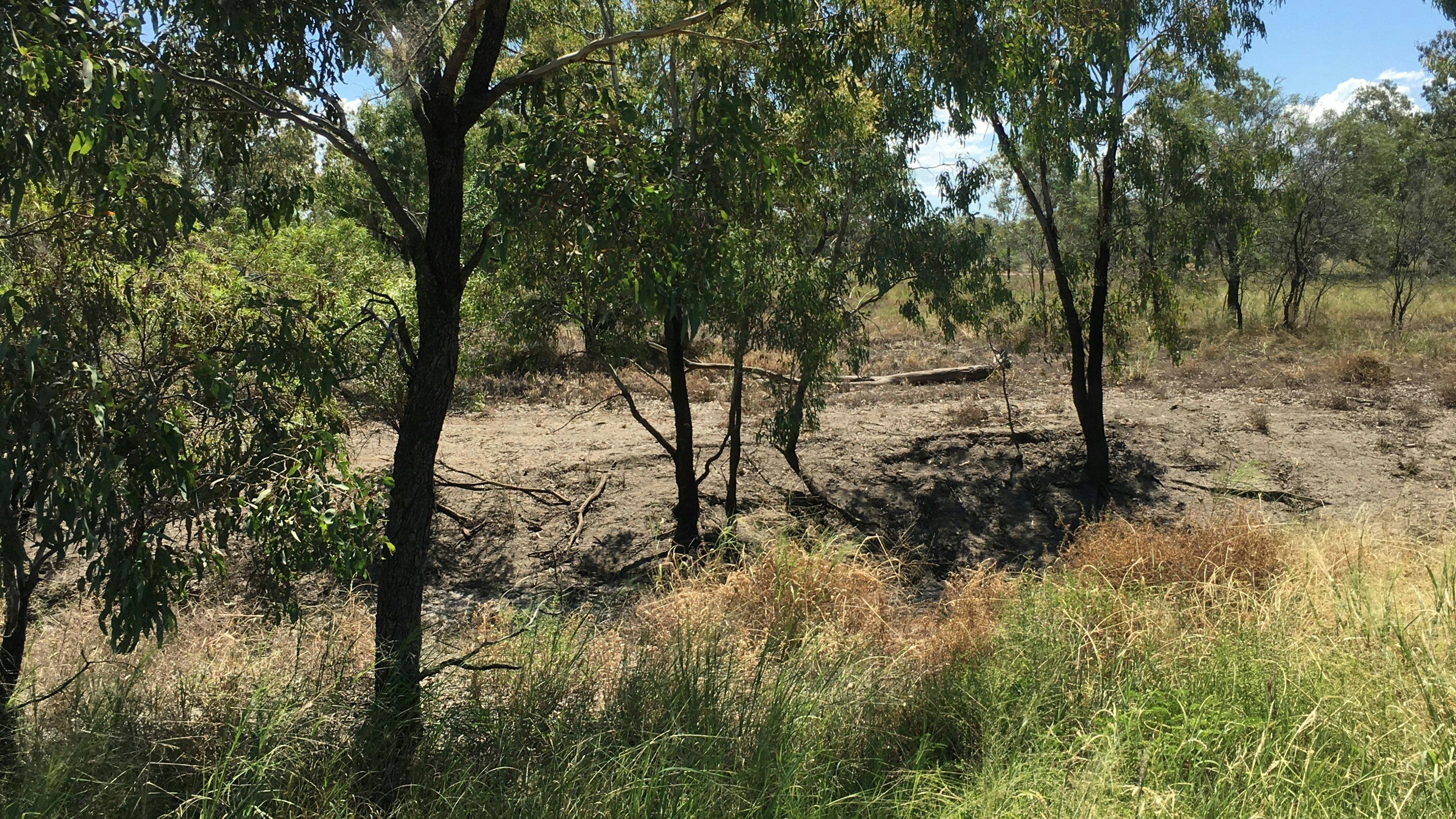 Mungindi Holiday Park