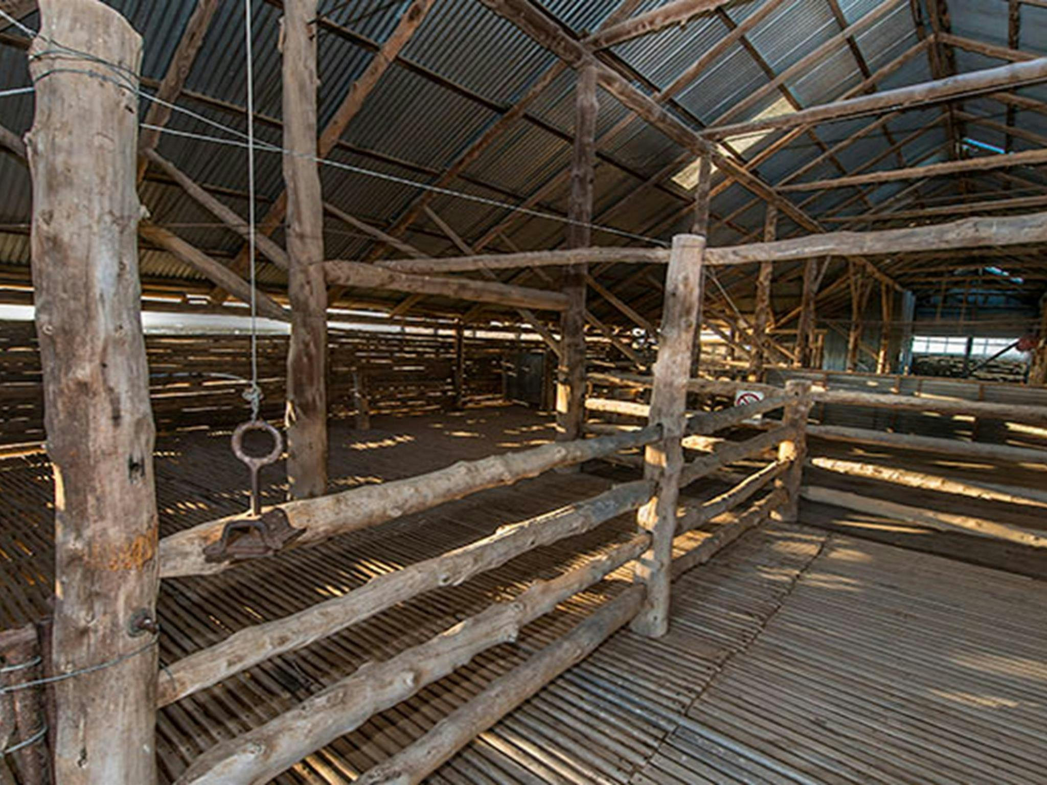 Mungo Woolshed, Mungo National Park. Photo: John Spencer/NSW Government