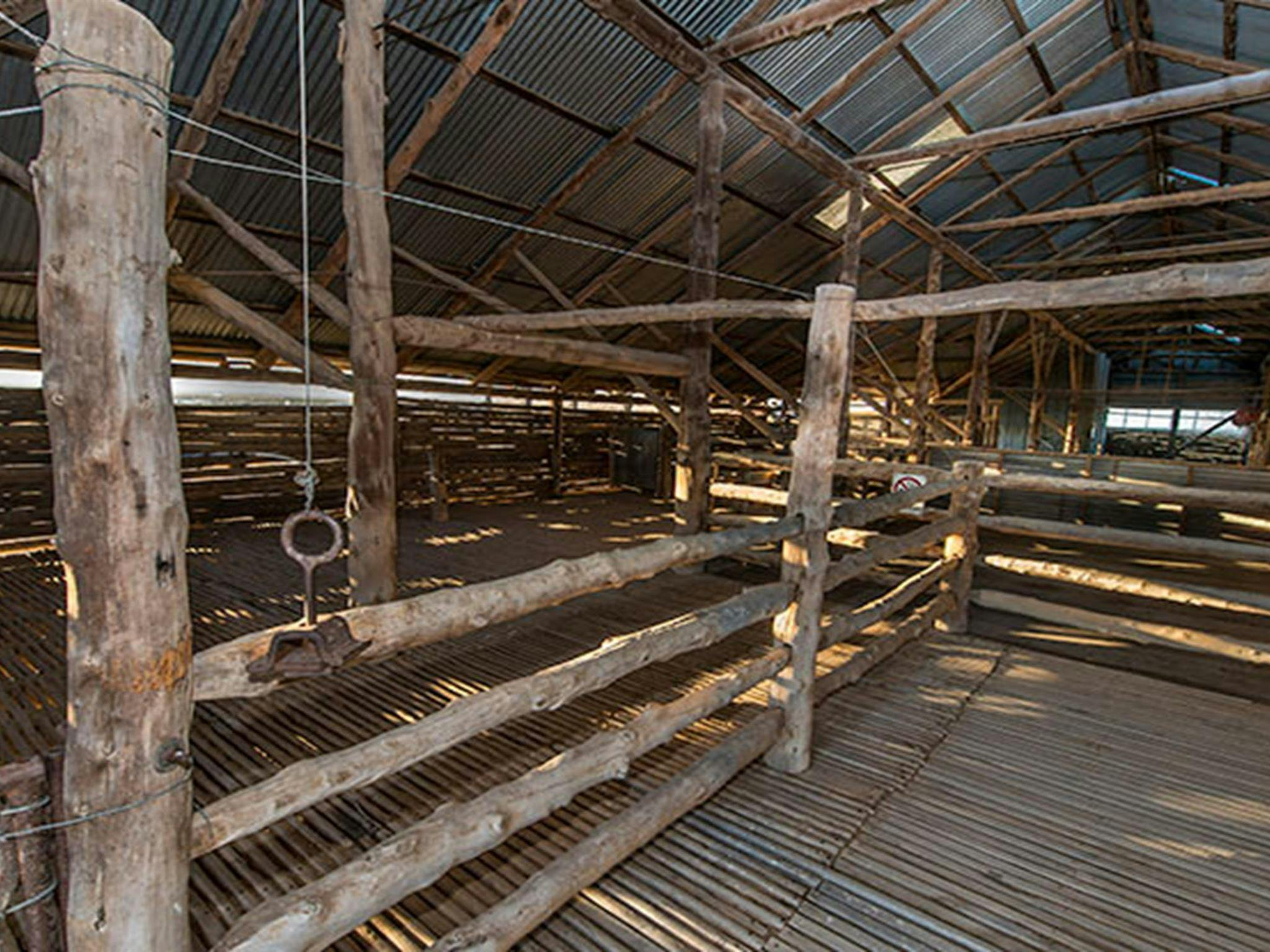 Mungo Woolshed, Mungo National Park. Photo: John Spencer/NSW Government