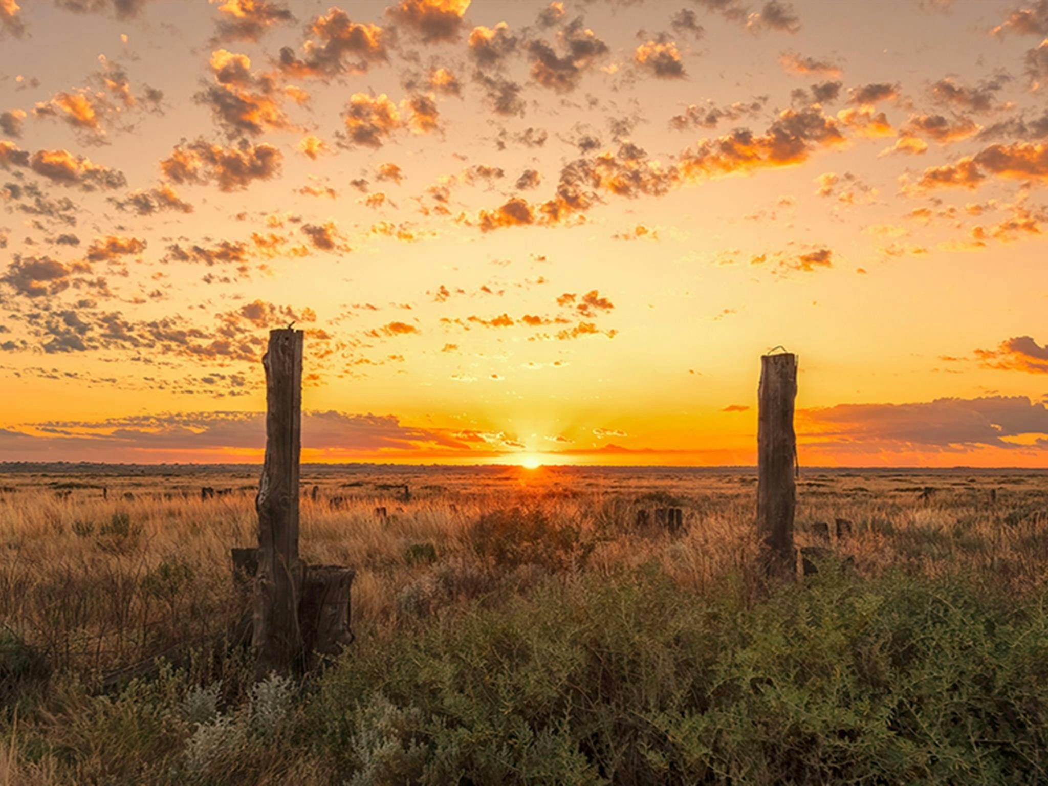 A gold and orange sunrise over a vast flat landscape in Mungo National Park. Credit: Hao Li/DCCEEW
