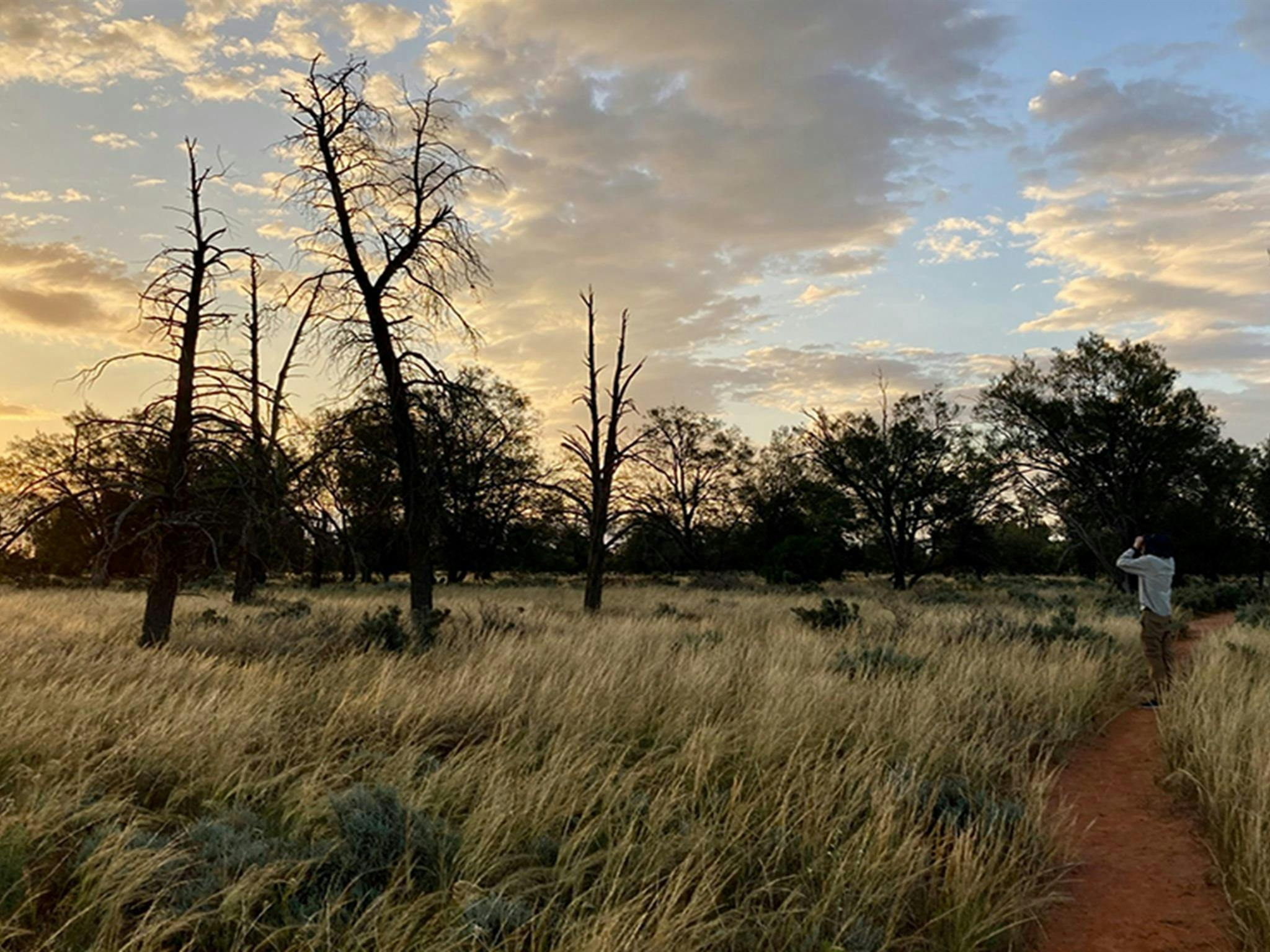 A woman holds binoculars to the sky looking for birds at sunset. Credit: Laura Baker/DCCEEW &copy;