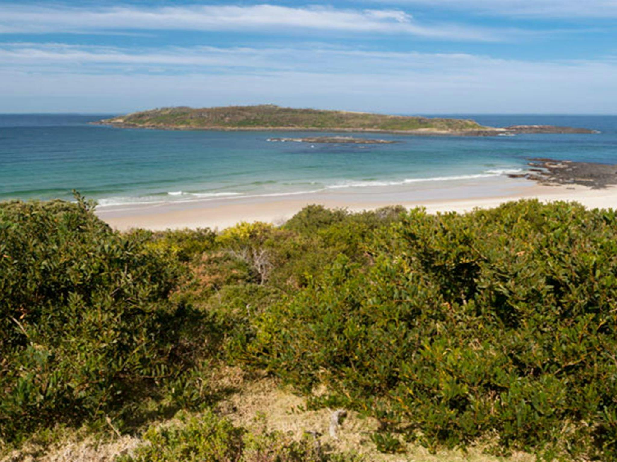 Murramarang Aboriginal Area. Photo: Lucas Boyd © DPIE