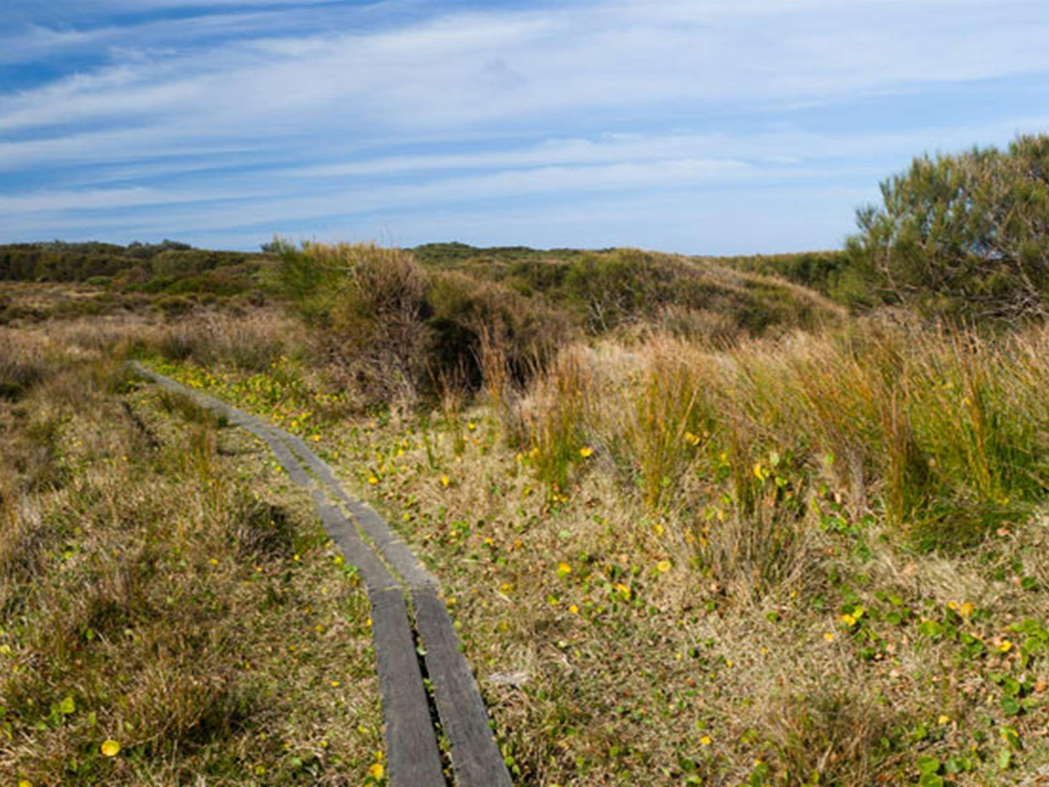 Murramarang Aboriginal Area. Photo: Lucas Boyd &copy; DPIE