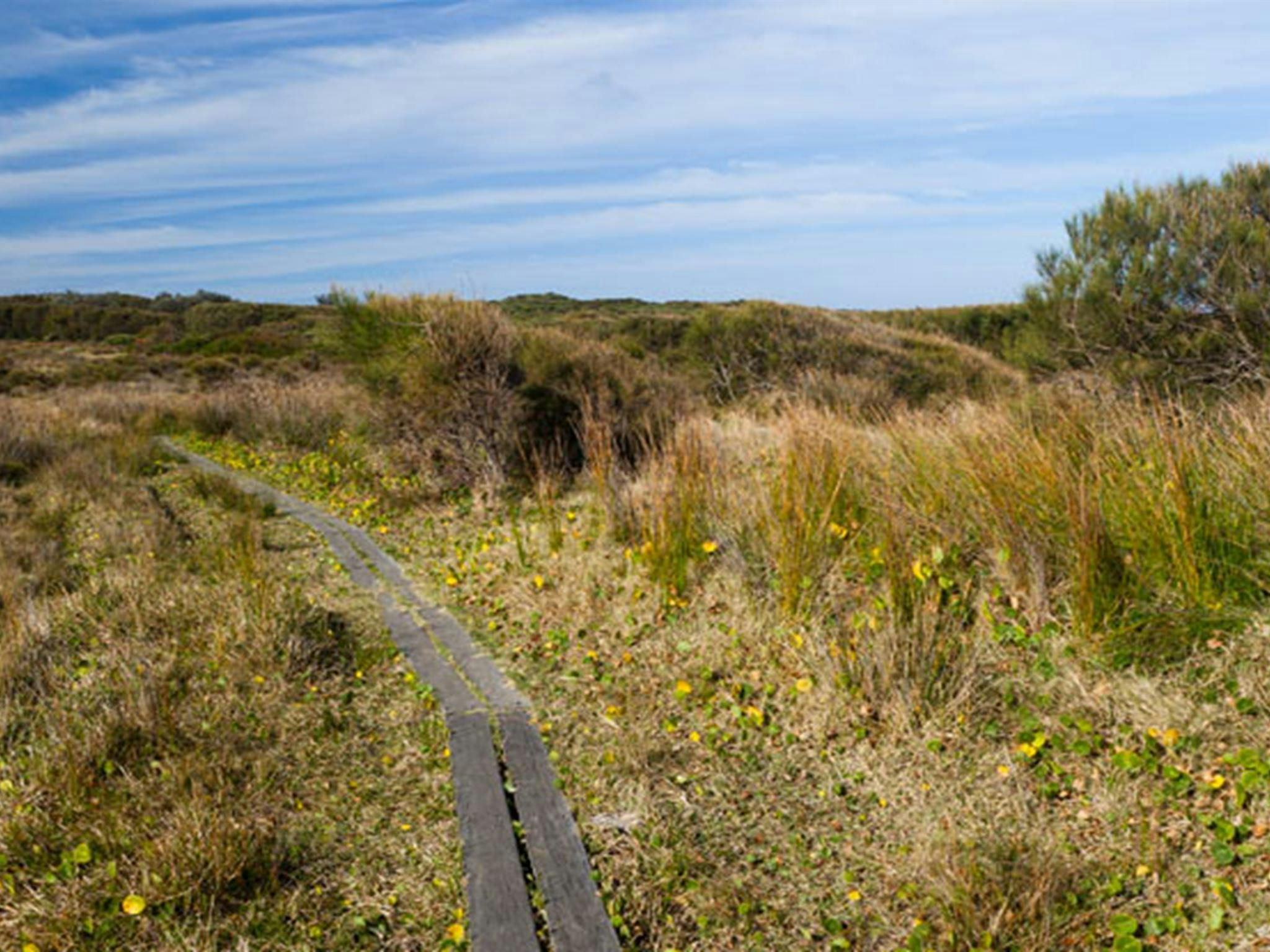 Murramarang Aboriginal Area. Photo: Lucas Boyd &copy; DPIE