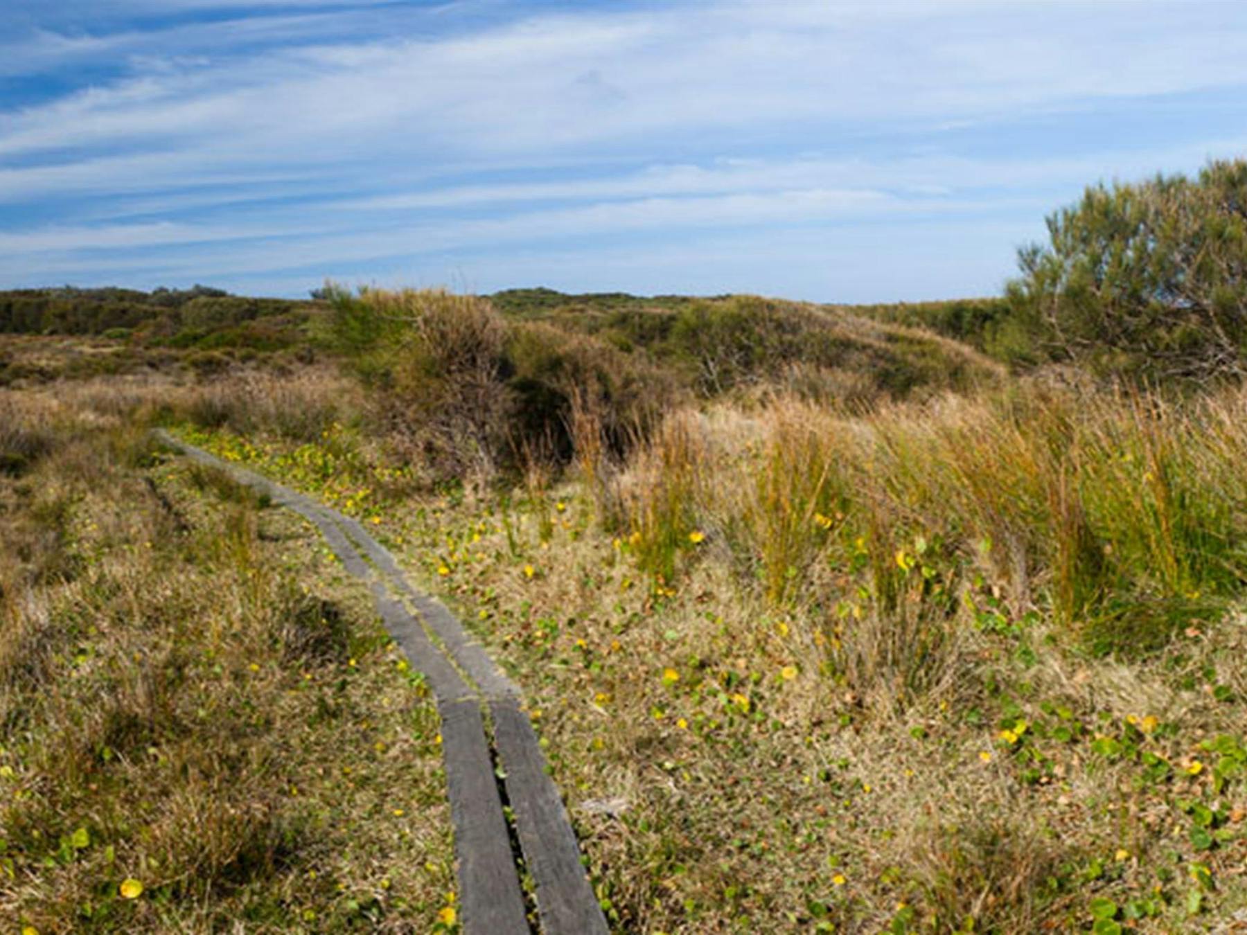Murramarang Aboriginal Area. Photo: Lucas Boyd © DPIE