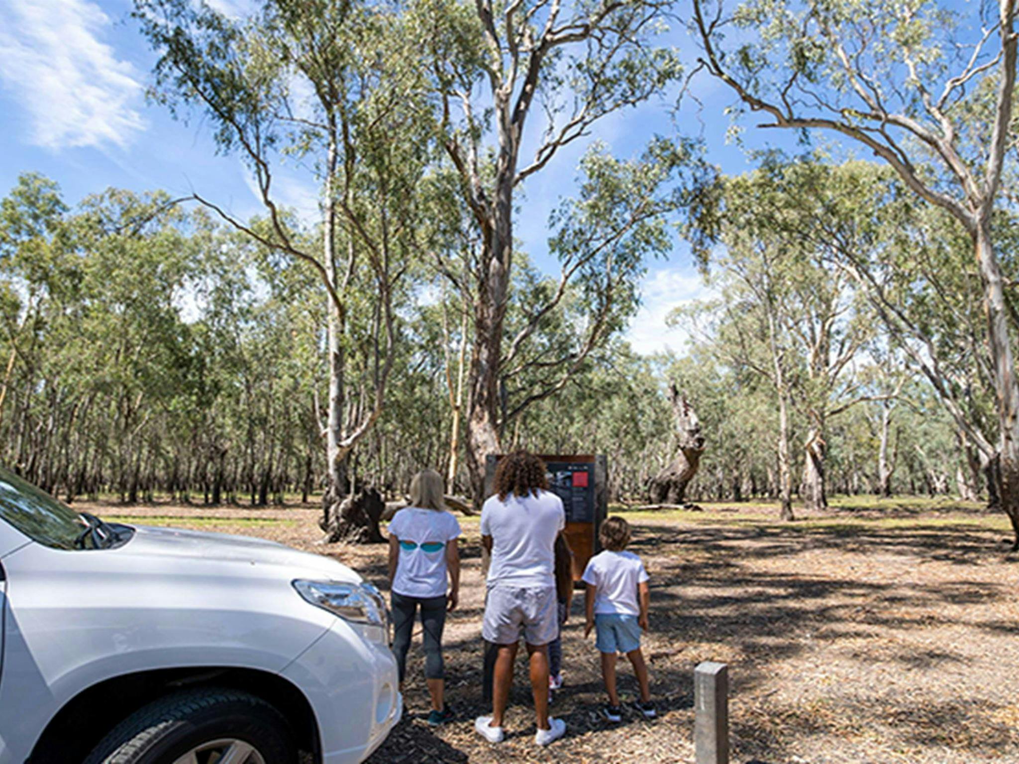 A family reads an information panel at Barmah Lakes day visitor area, Barmah National Park. Photo: B