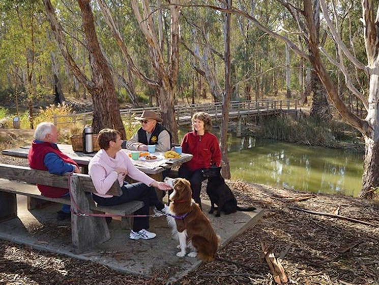 A group picnicking with their dog at Gulpa Creek, Murray Valley Regional Park. Photo credit: Gavin