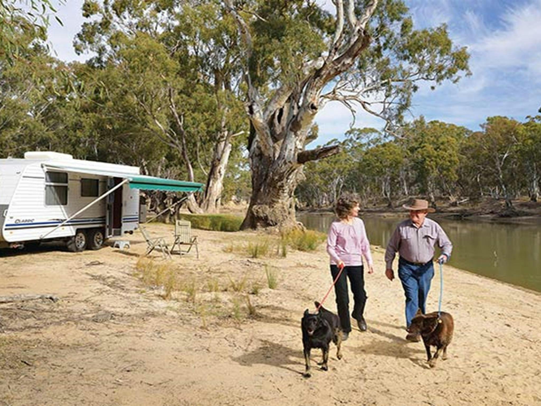 Campers with their dogs on leashes at Willoughbys Beach campground in Murray Valley Regional Park.