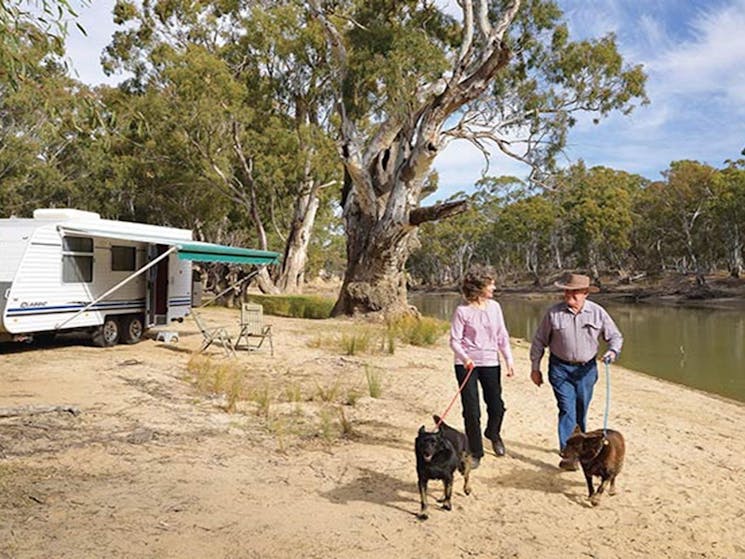 Campers with their dogs on leashes at Willoughbys Beach campground in Murray Valley Regional Park.