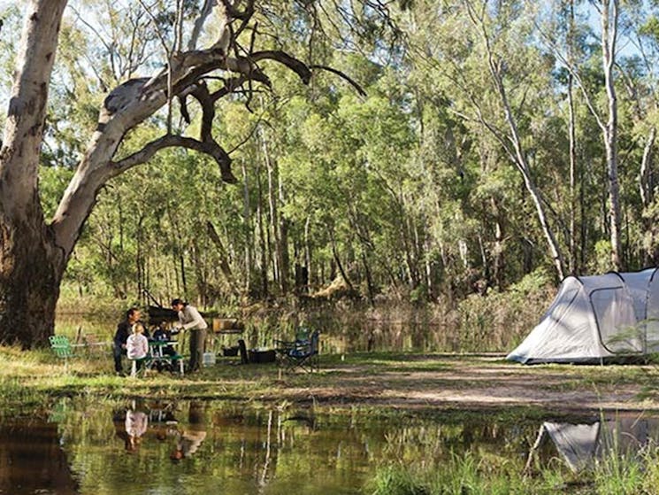 Family camping at Edward River campground in Murray Valley Regional Park. Photo credit: David