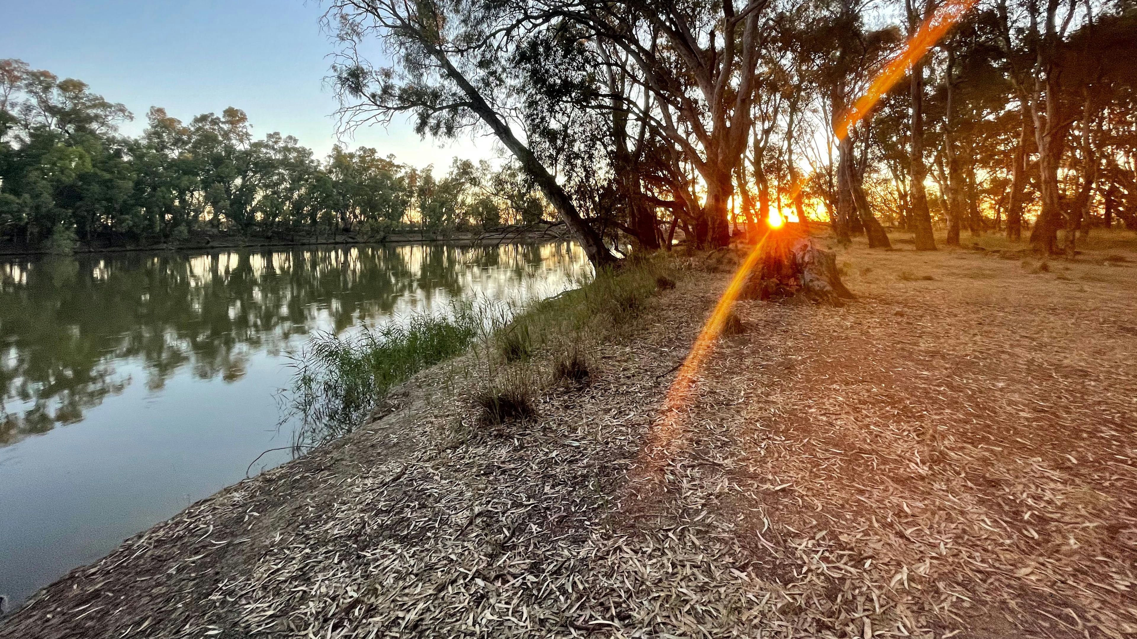 Murray View