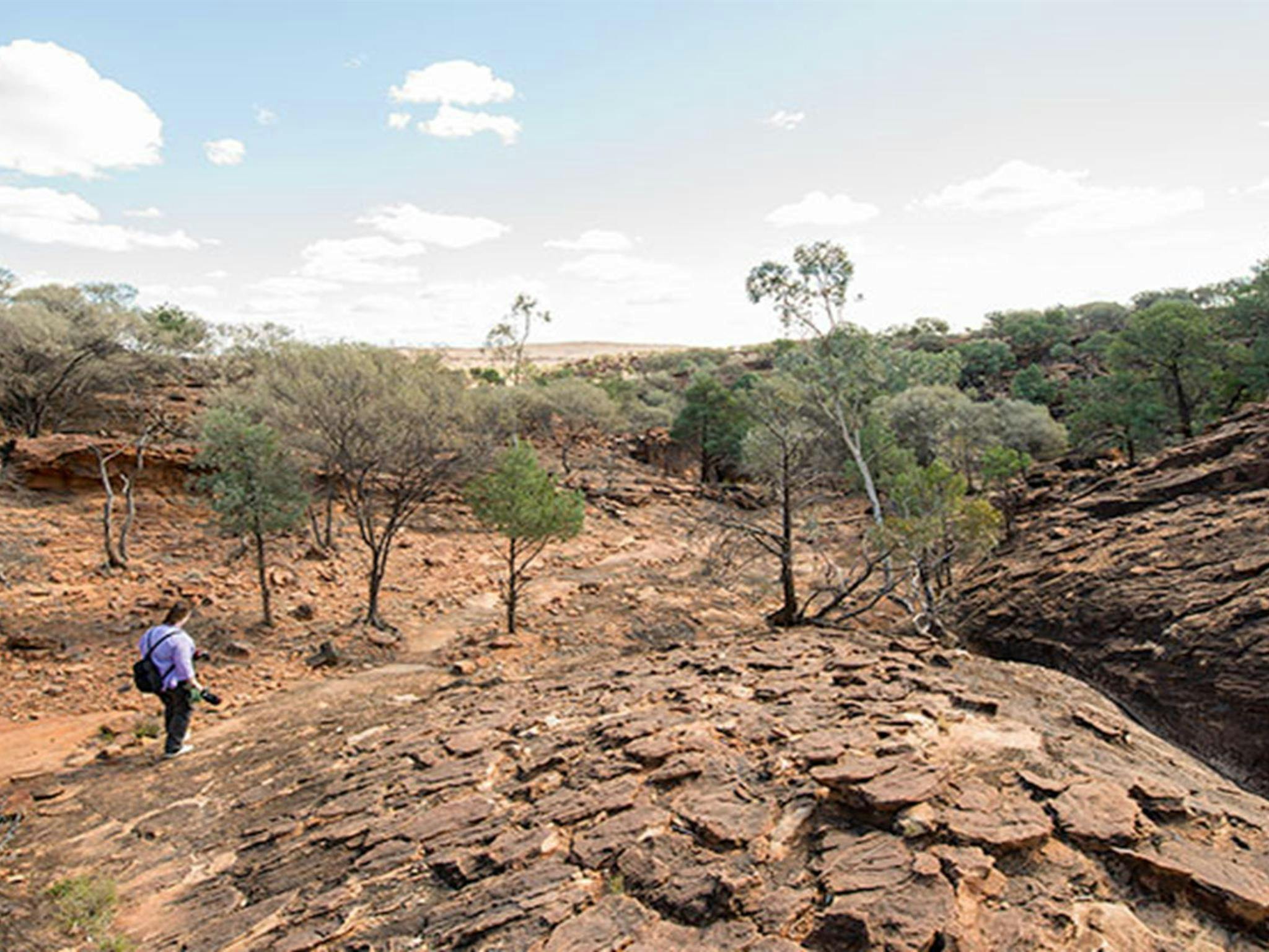 Mutawintji Historic Site. Photo: John Spencer &copy; DPIE