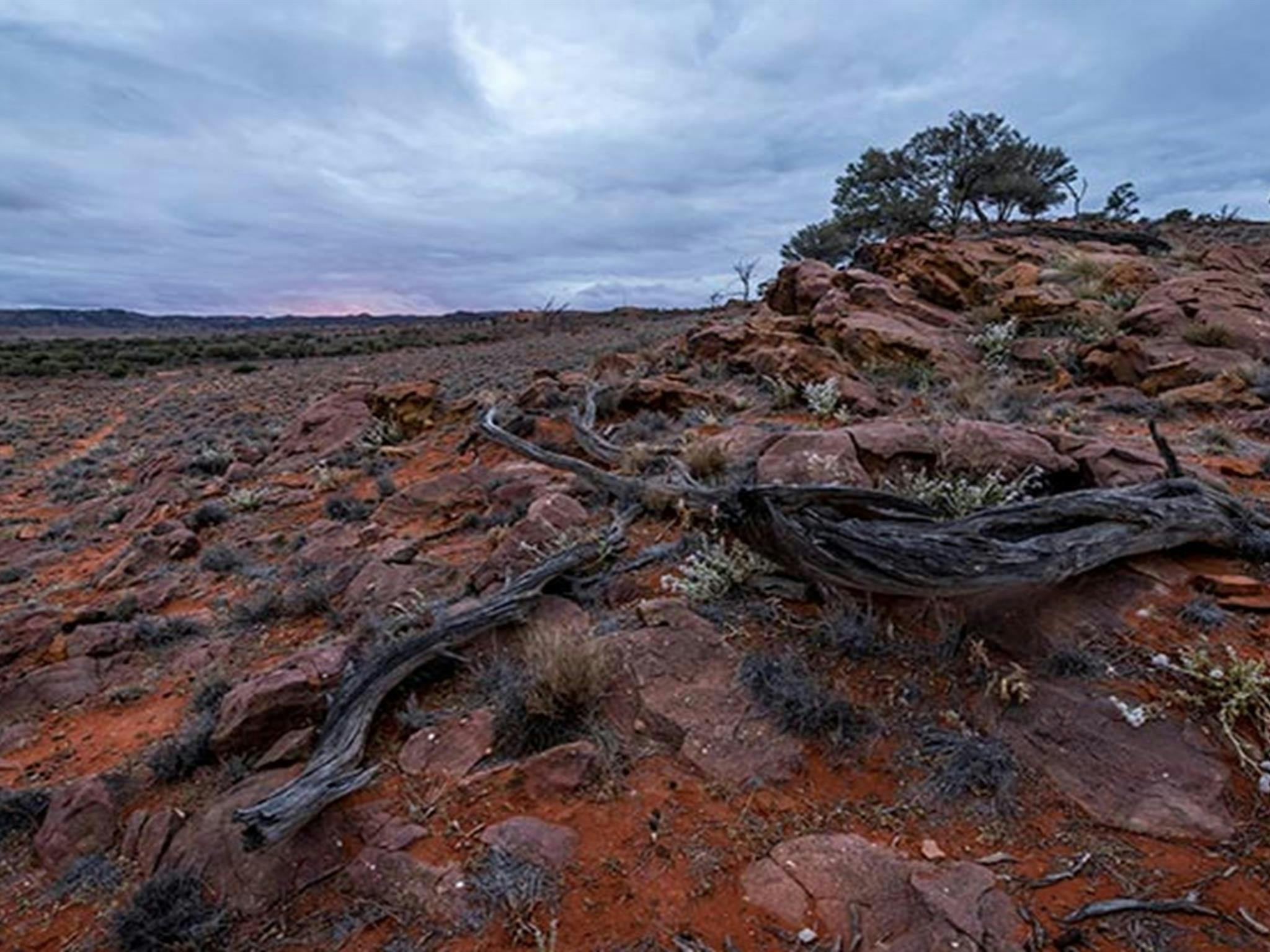 Felslandschaft des Mutawintji-Nationalparks bei Sonnenuntergang. Foto: John Spencer/OEH