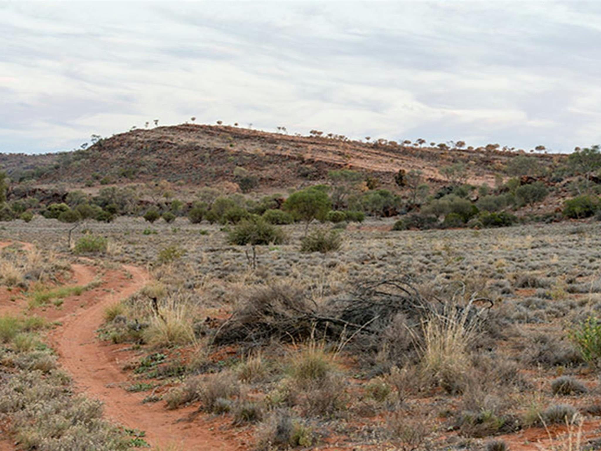 Mutawintji National Park