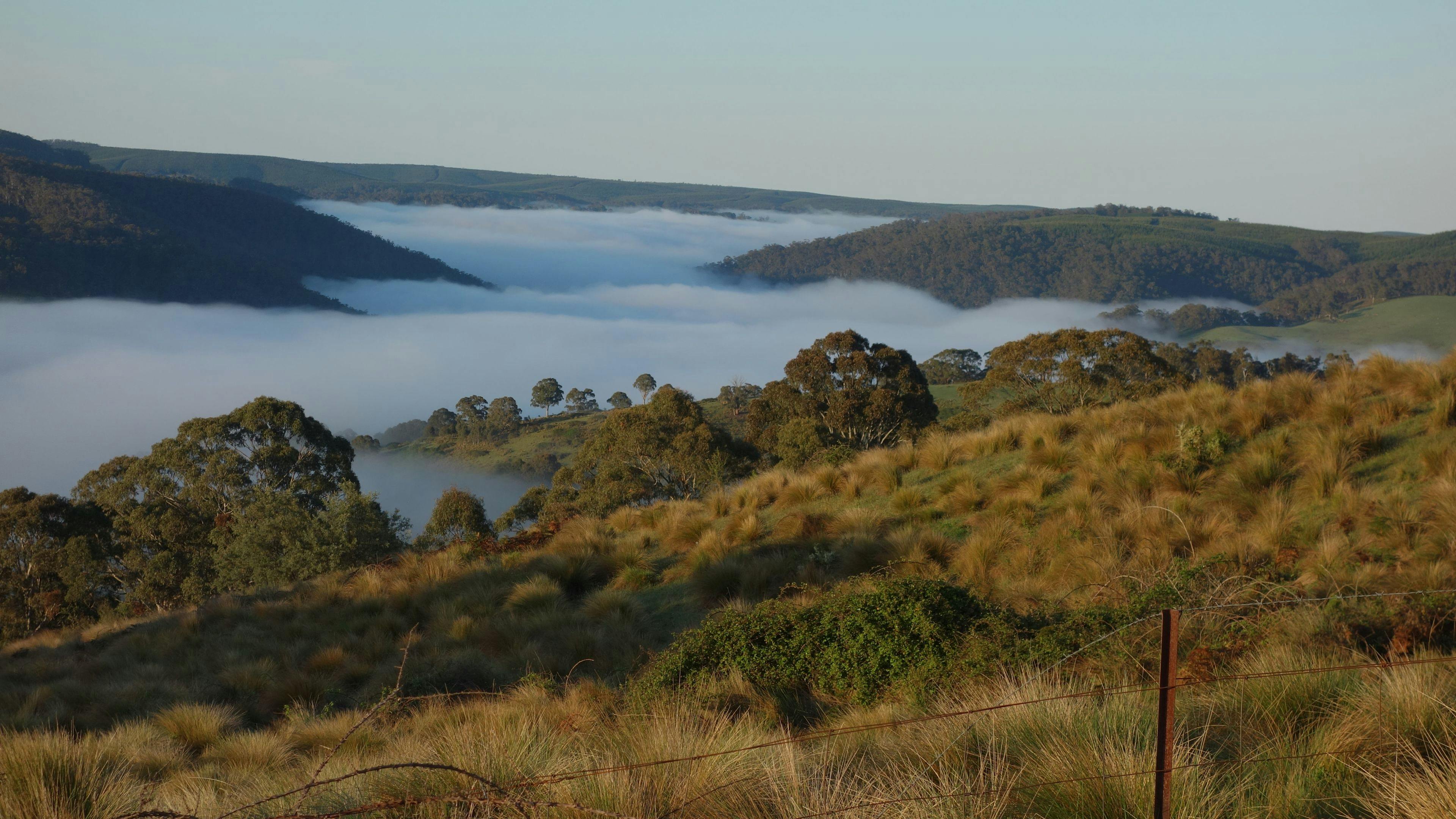 Trout Valley Retreat