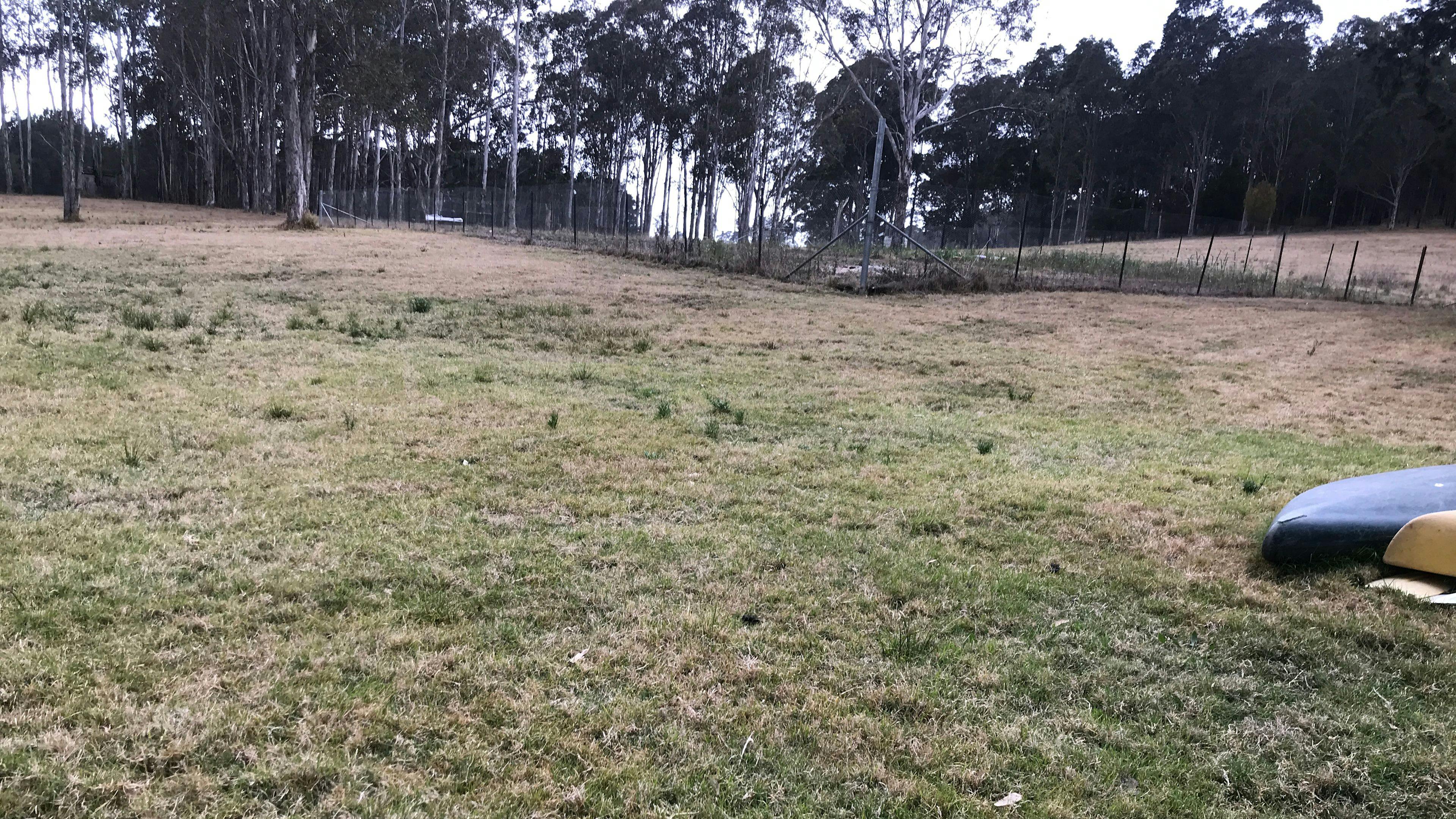 Camp area