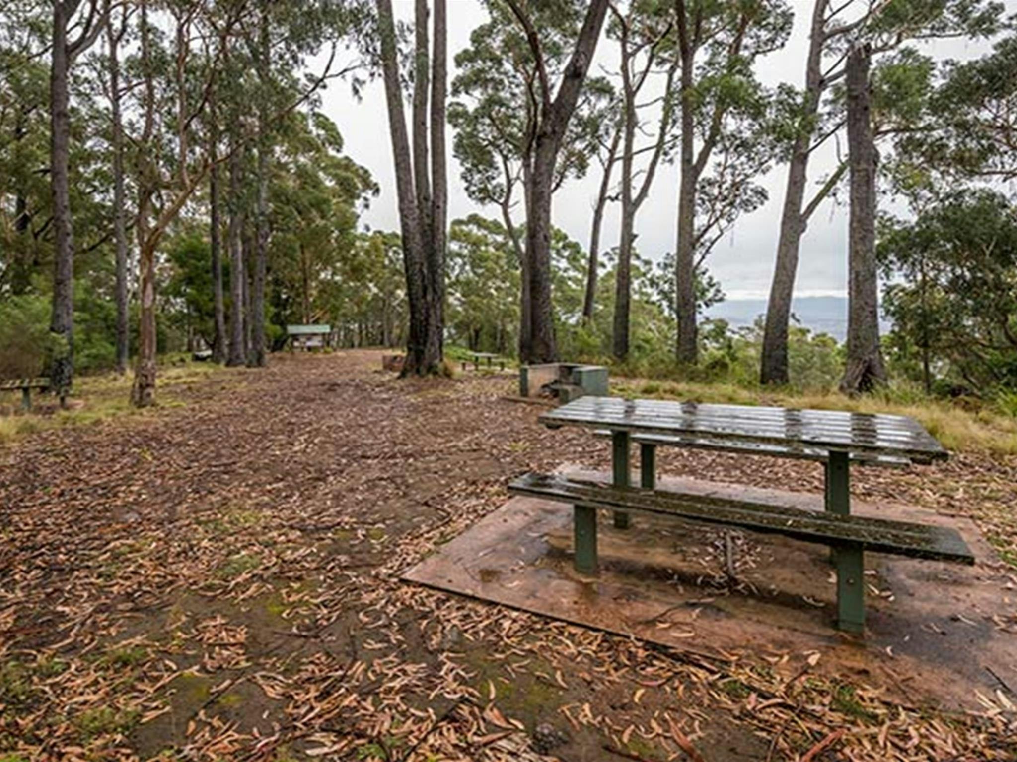 Myrtle Mountain lookout, South East Forest National Park. Photo credit: John Spencer &copy; DPIE
