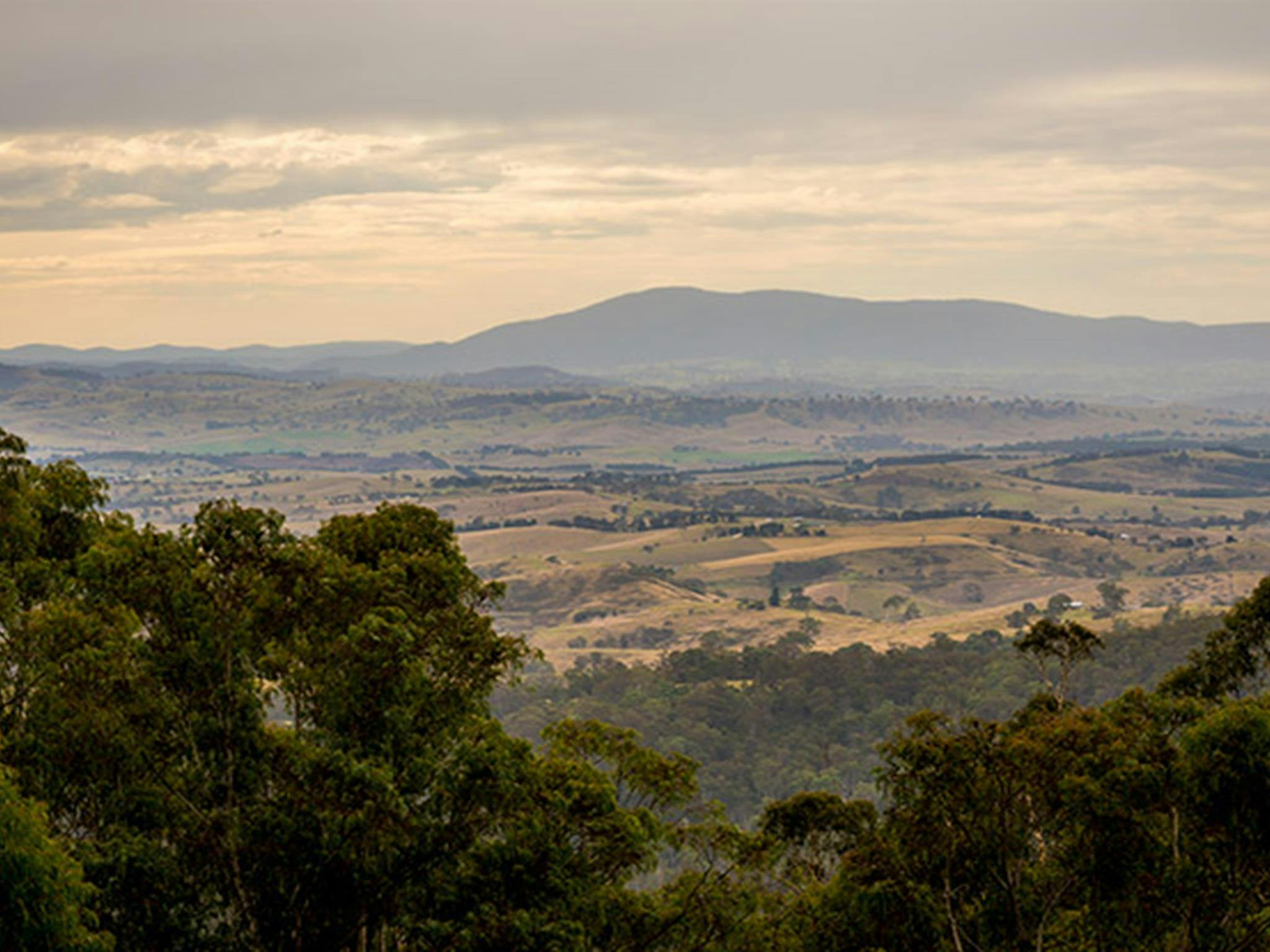 Myrtle Mountain lookout, South East Forest National Park. Photo credit: John Spencer &copy; DPIE