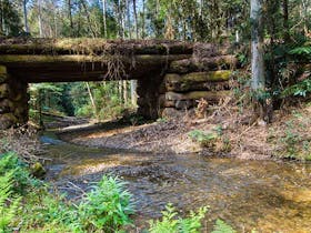 Myrtle Scrub scenic drive
