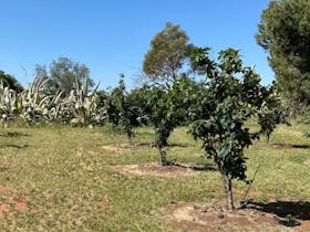 Belalie Wines Farmstay