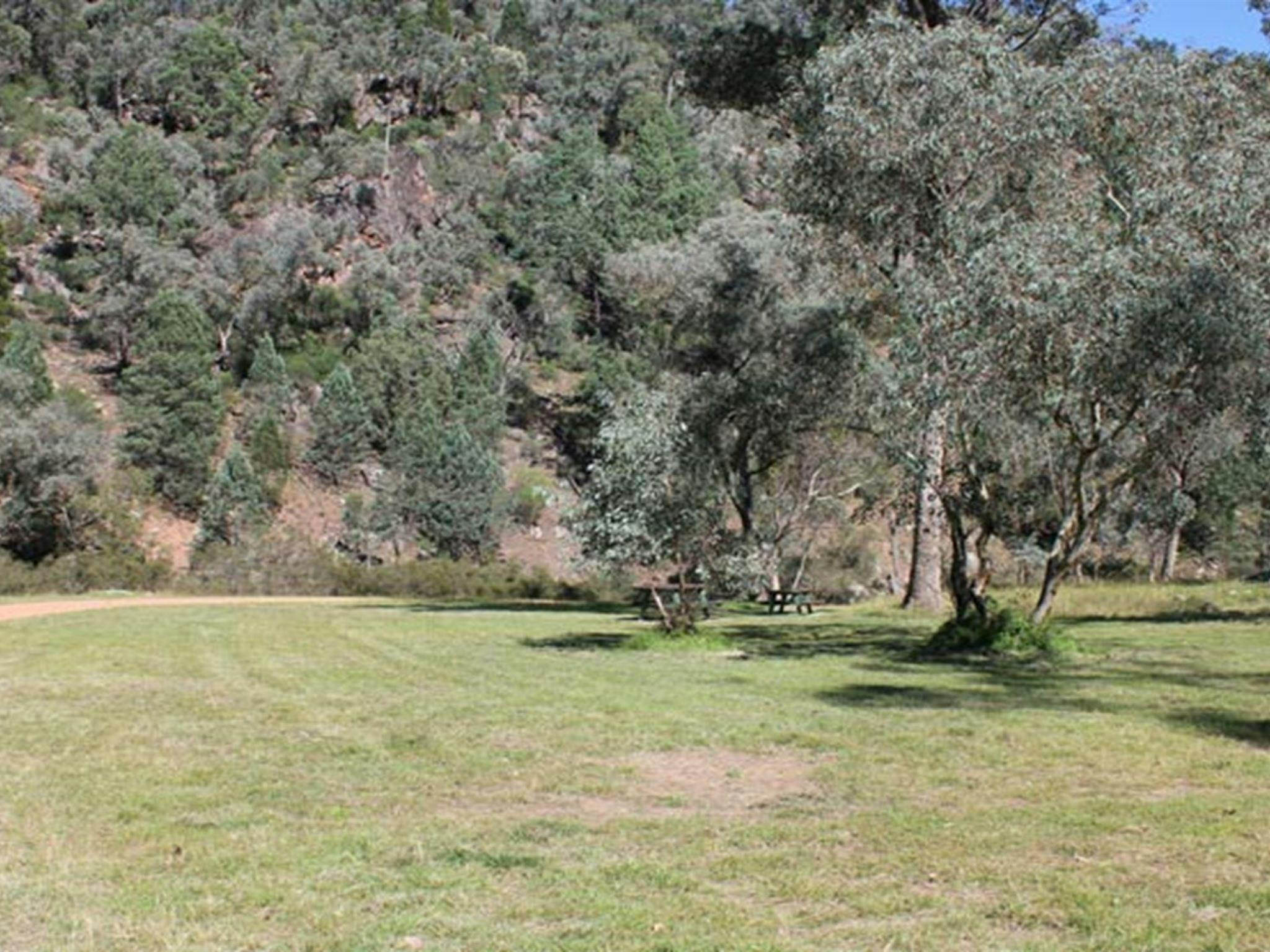 Terrara Creek campground and picnic area, Nangar National Park. Photo: K Edwards/NSW Government