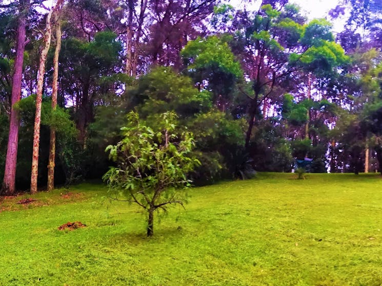 Narooma Paradise