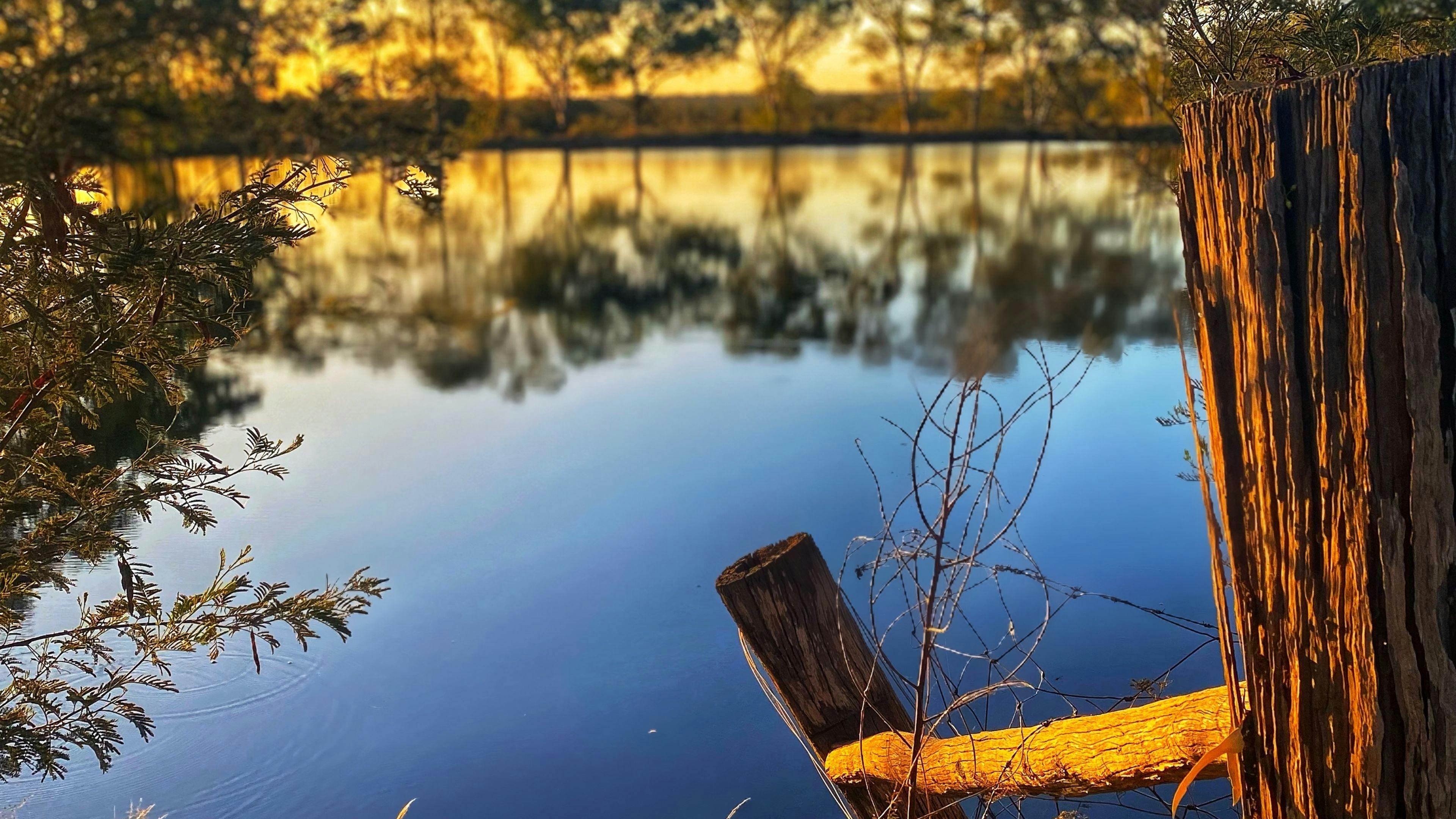 Narrabri Fish Farm