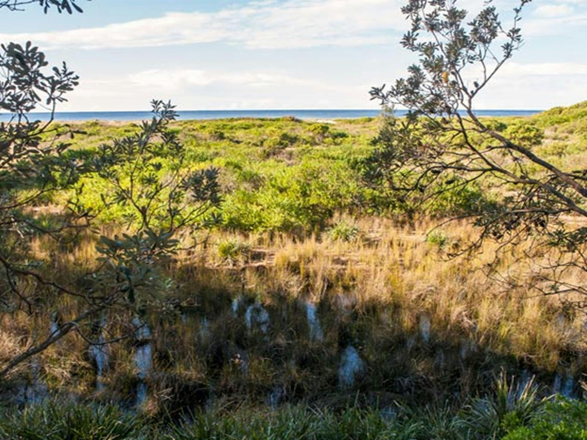 Narrawallee National Park. Photo: Michael van Ewijk &copy; DPIE