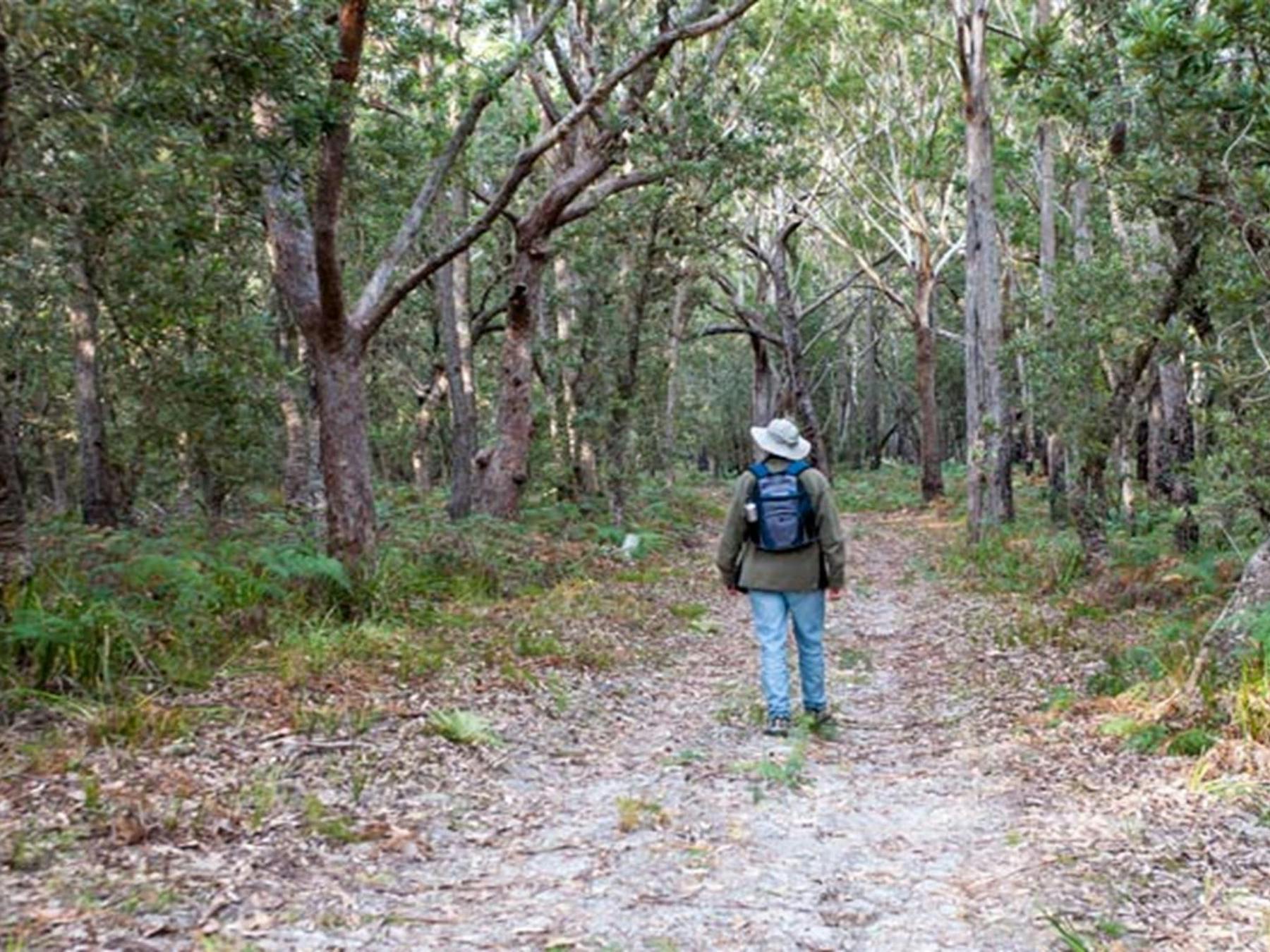 Narrawallee National Park. Photo: Michael van Ewijk © DPIE