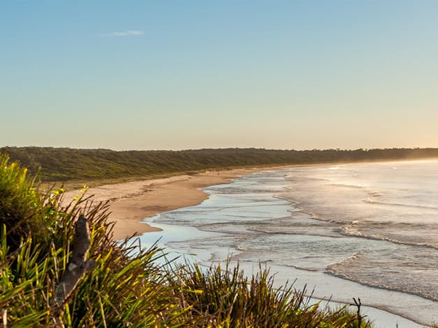 Narrawallee Creek Nature Reserve