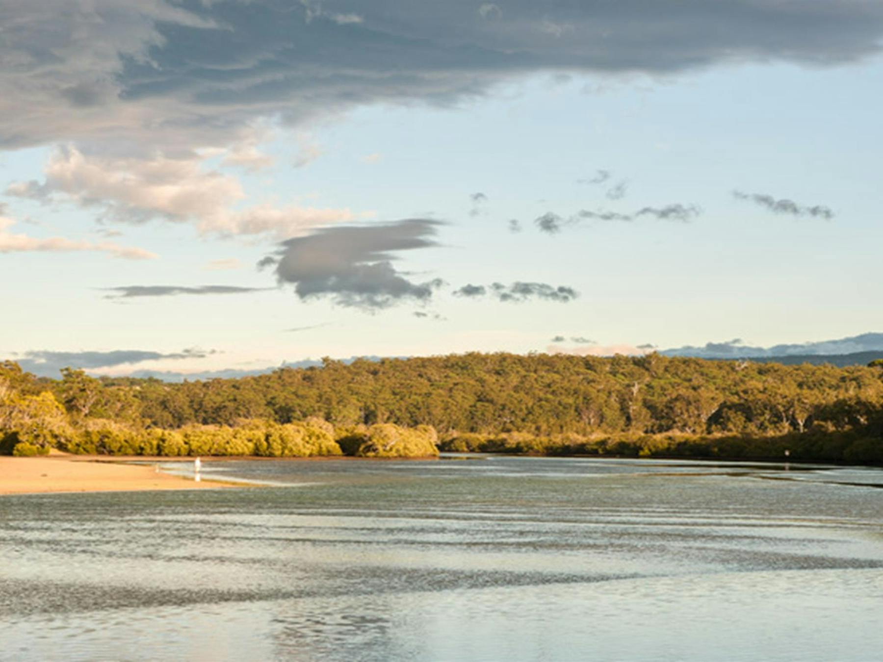 Narrawallee National Park. Photo: Michael van Ewijk © DPIE