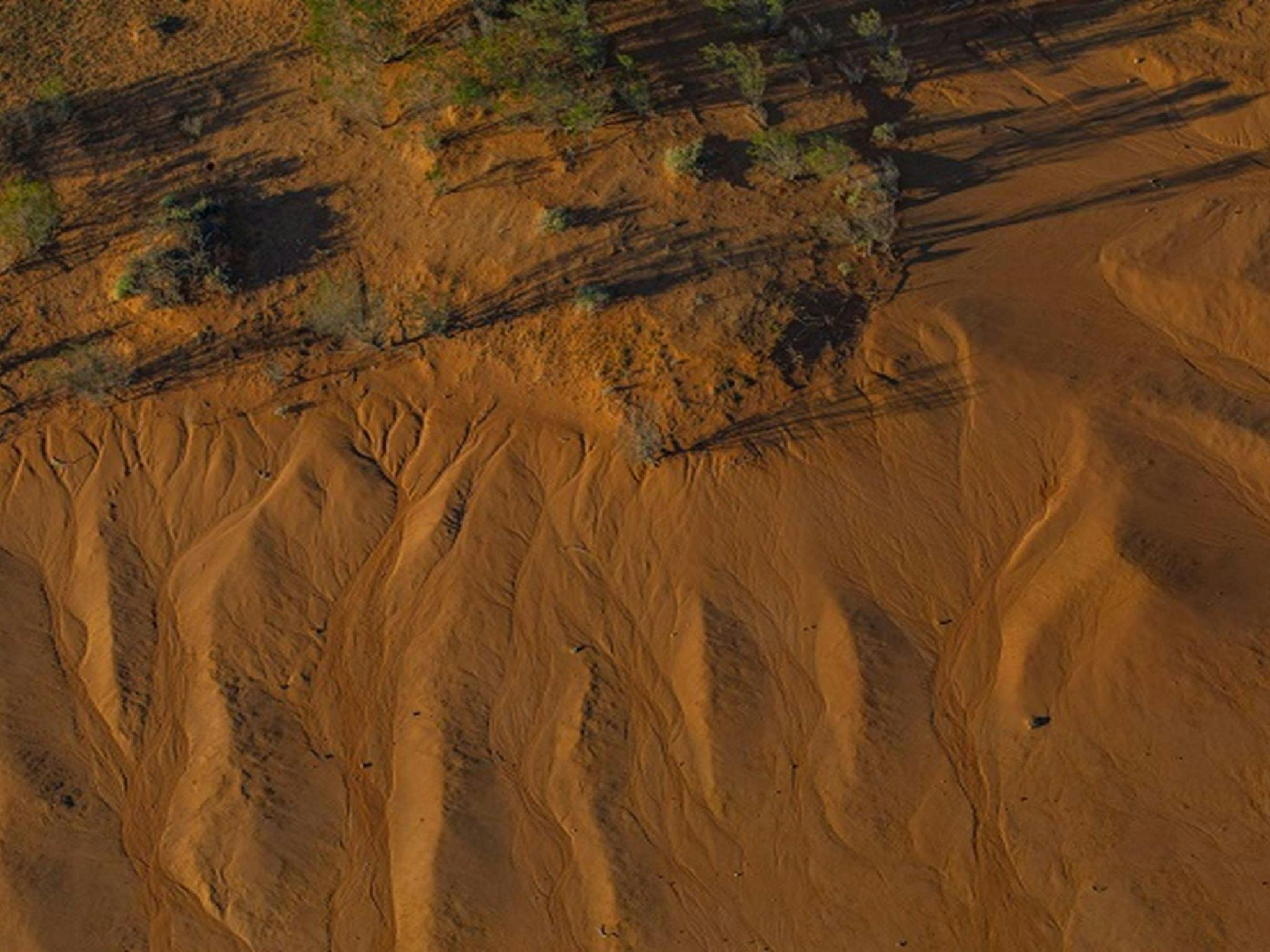 An arid environment, Narriearra Caryapundy Swamp National Park. Photo: Joshua Smith &copy;DPIE