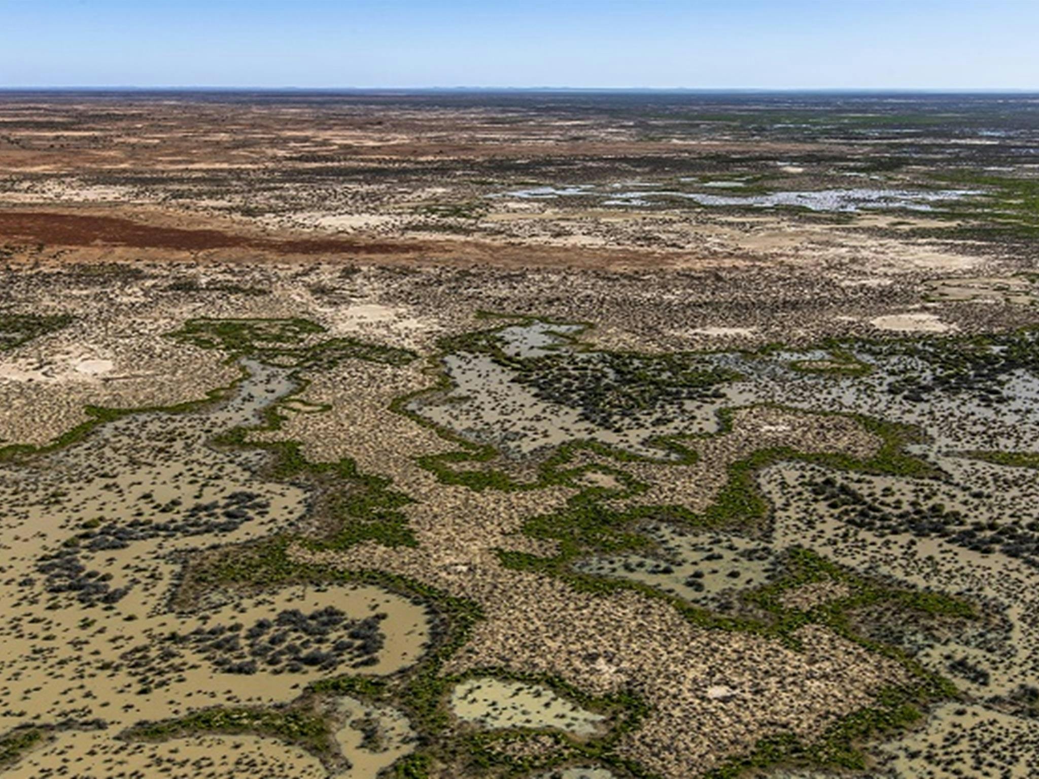Caryapundy Swamp, Narriearra Caryapundy Swamp National Park. Photo: Joshua Smith &copy;DPIE