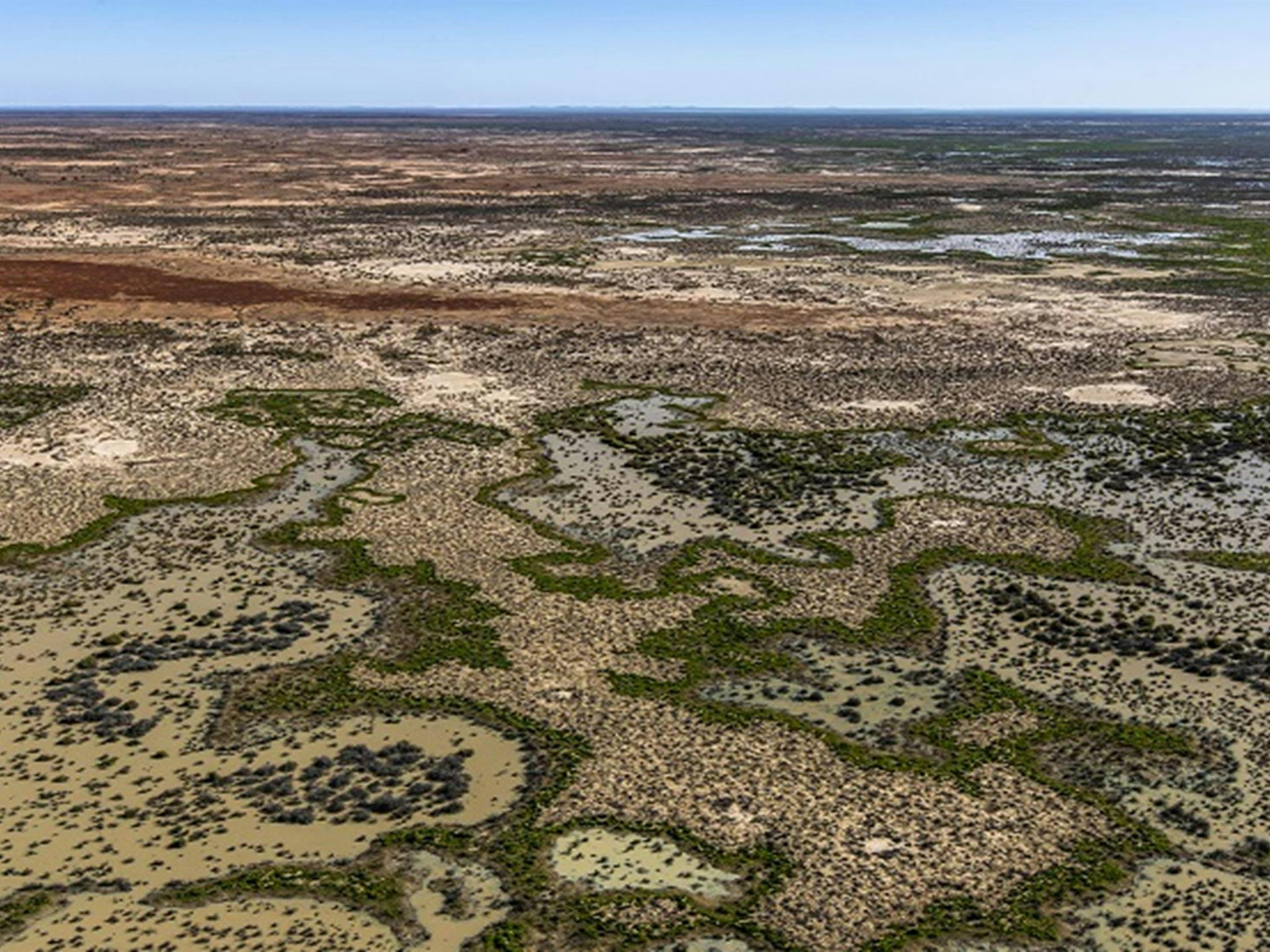 Caryapundy Swamp, Narriearra Caryapundy Swamp National Park. Photo: Joshua Smith &copy;DPIE
