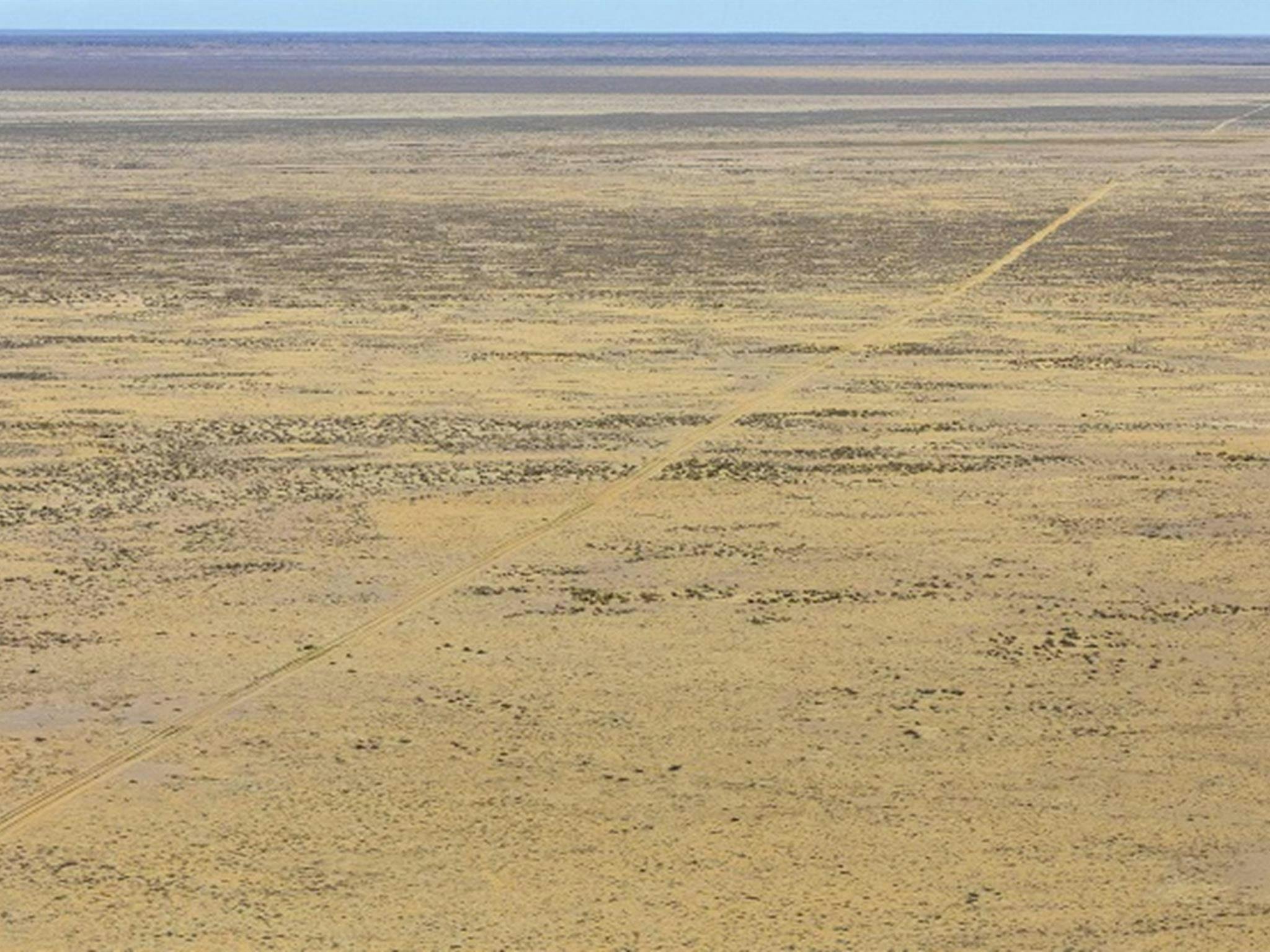 A road through Narriearra Station, Narriearra Caryapundy Swamp National Park. Photo: Joshua Smith
