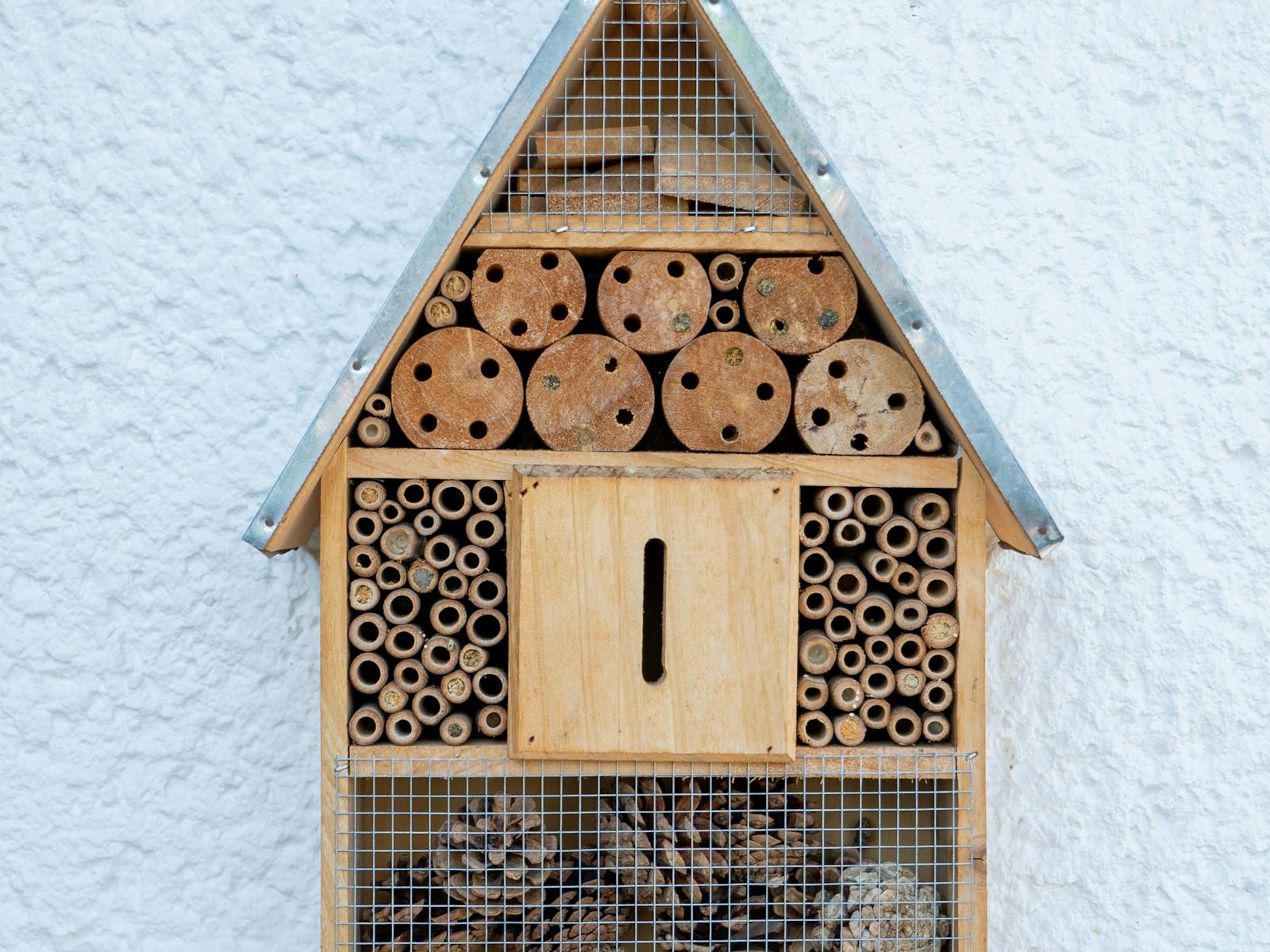 Image for Native Bee Masterclass: Build a Bee Hotel