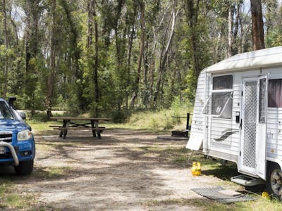 Image of Native Dog campground