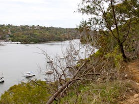 Natural Bridge track to Davidson Park