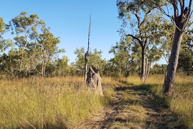 Natural NT Bush Camp