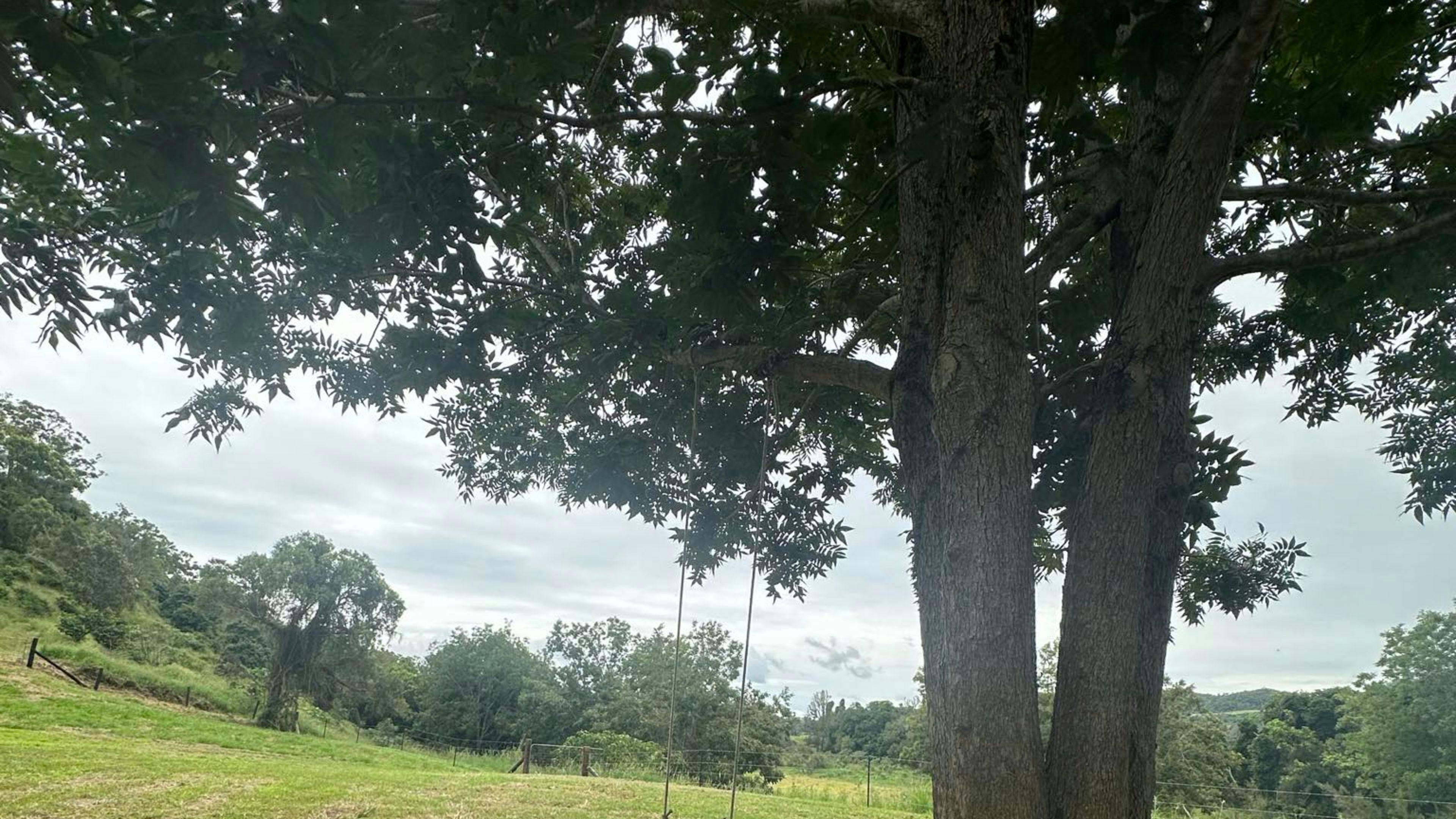 Nature's Edge Cottage & Campsites.