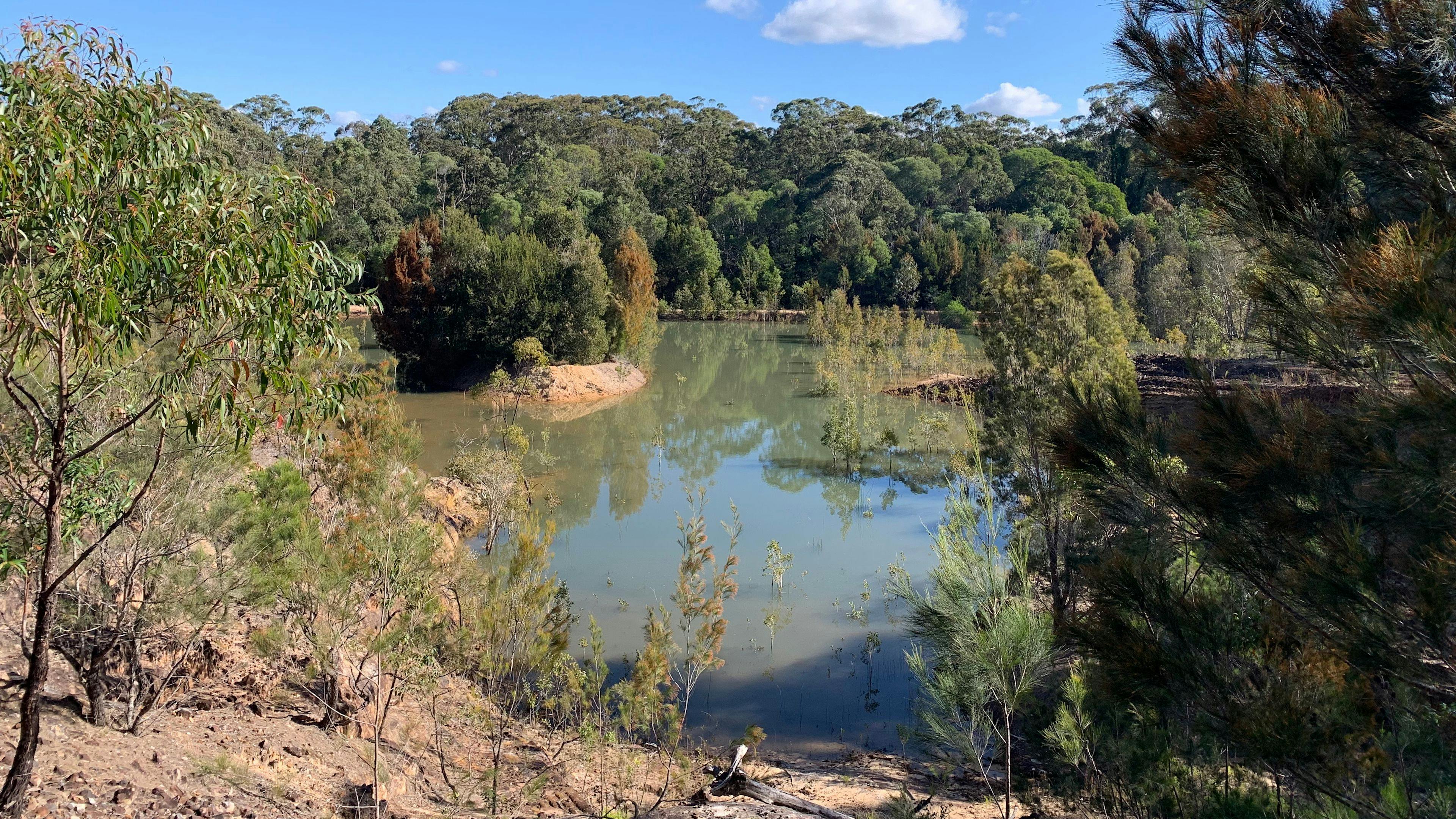 Nature’s Retreat