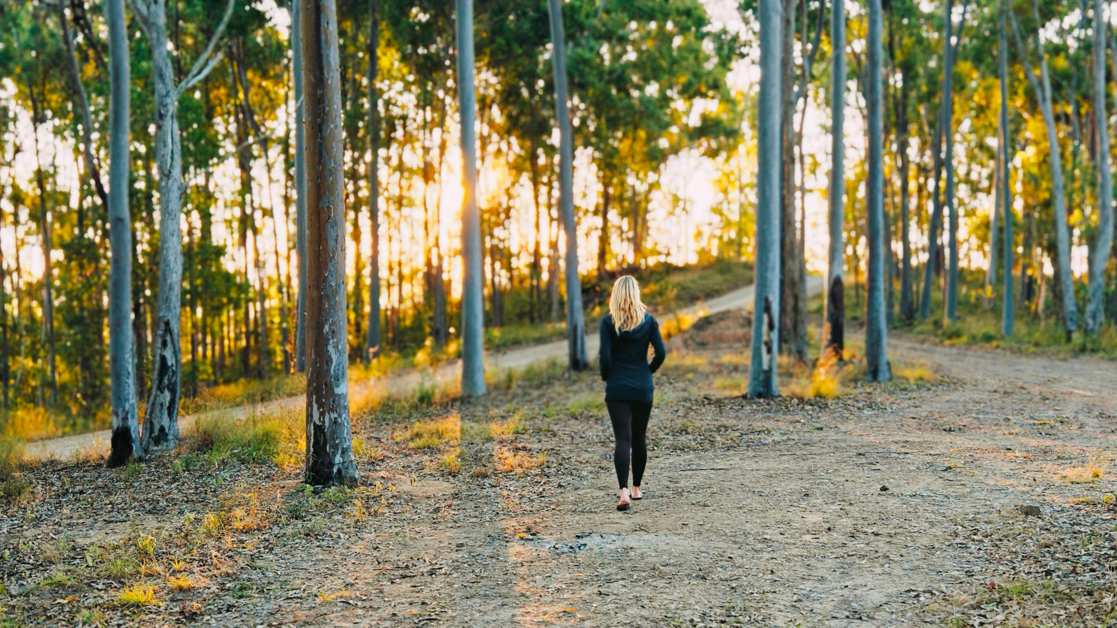 UniqueVibe Bush Camp (Off-grid)