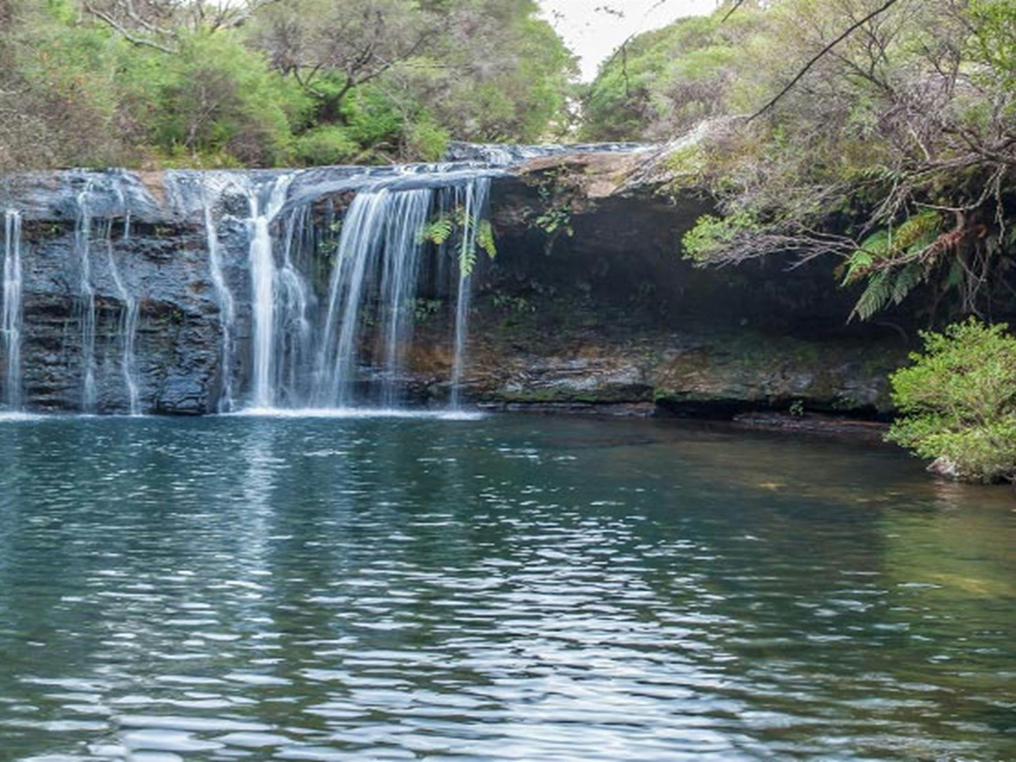 Nellies Glen picnic area