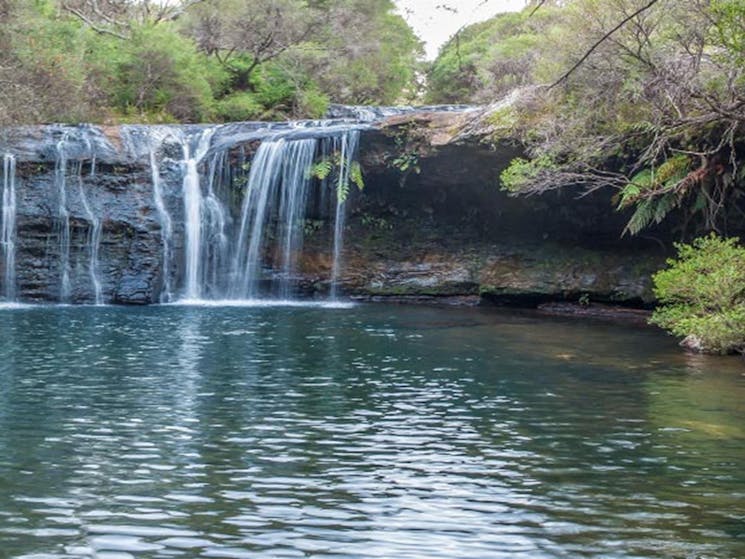 Nellies Glen waterfall, Budderoo National Park. Photo credit: Michael Van Ewijk &copy; DPIE