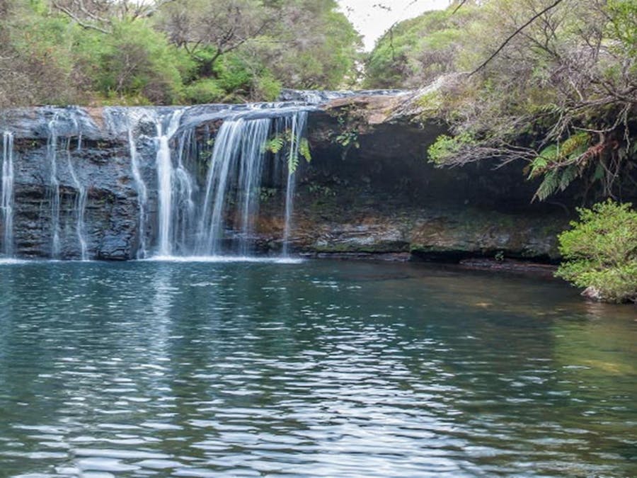 Nellies Glen waterfall, Budderoo National Park. Photo credit: Michael Van Ewijk © DPIE