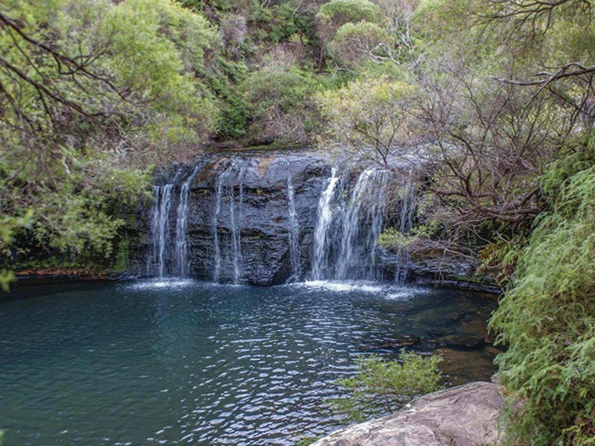 Budderoo 國家公園的 Nellies Glen 瀑佈景觀。照片：Michael Van Ewijk 和 DPIE
