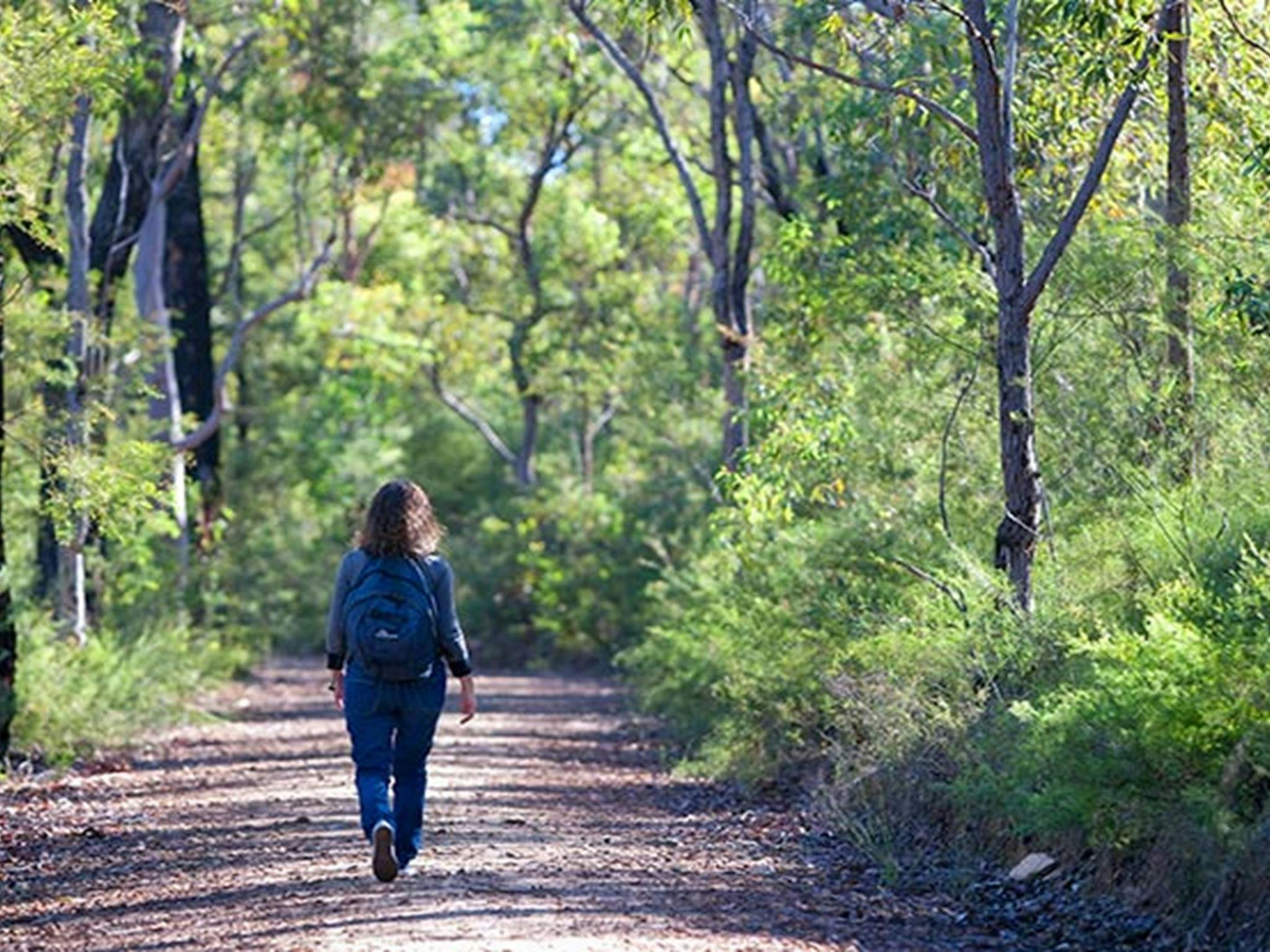 Euroka – Wanderung am Nepean River, Blue Mountains Nationalpark. Foto: Nick Cubbin © OEH
