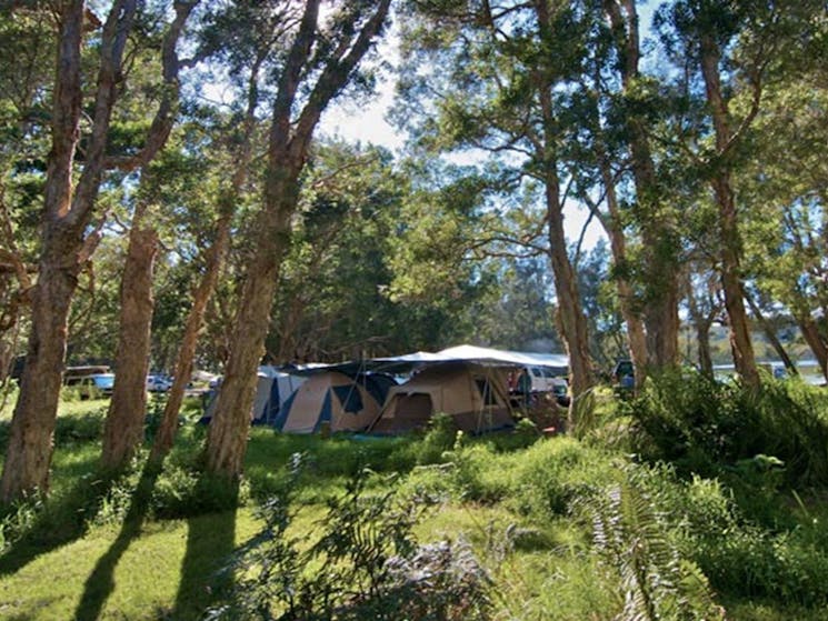 Neranie campground tents, Myall Lakes National Park. Photo:John Spencer/DPIE