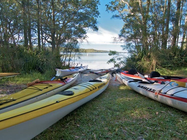Neranie campground canoes, Myall Lakes National Park. Photo: John Spencer/DPIE